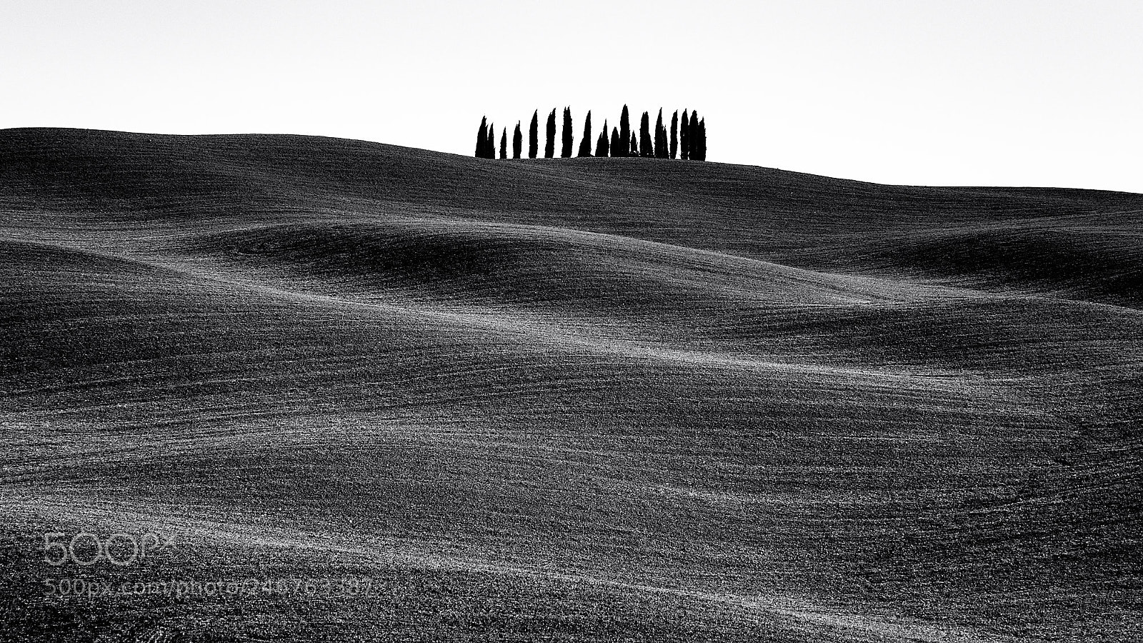 Olympus OM-D E-M1 Mark II sample photo. Toscane italy photography
