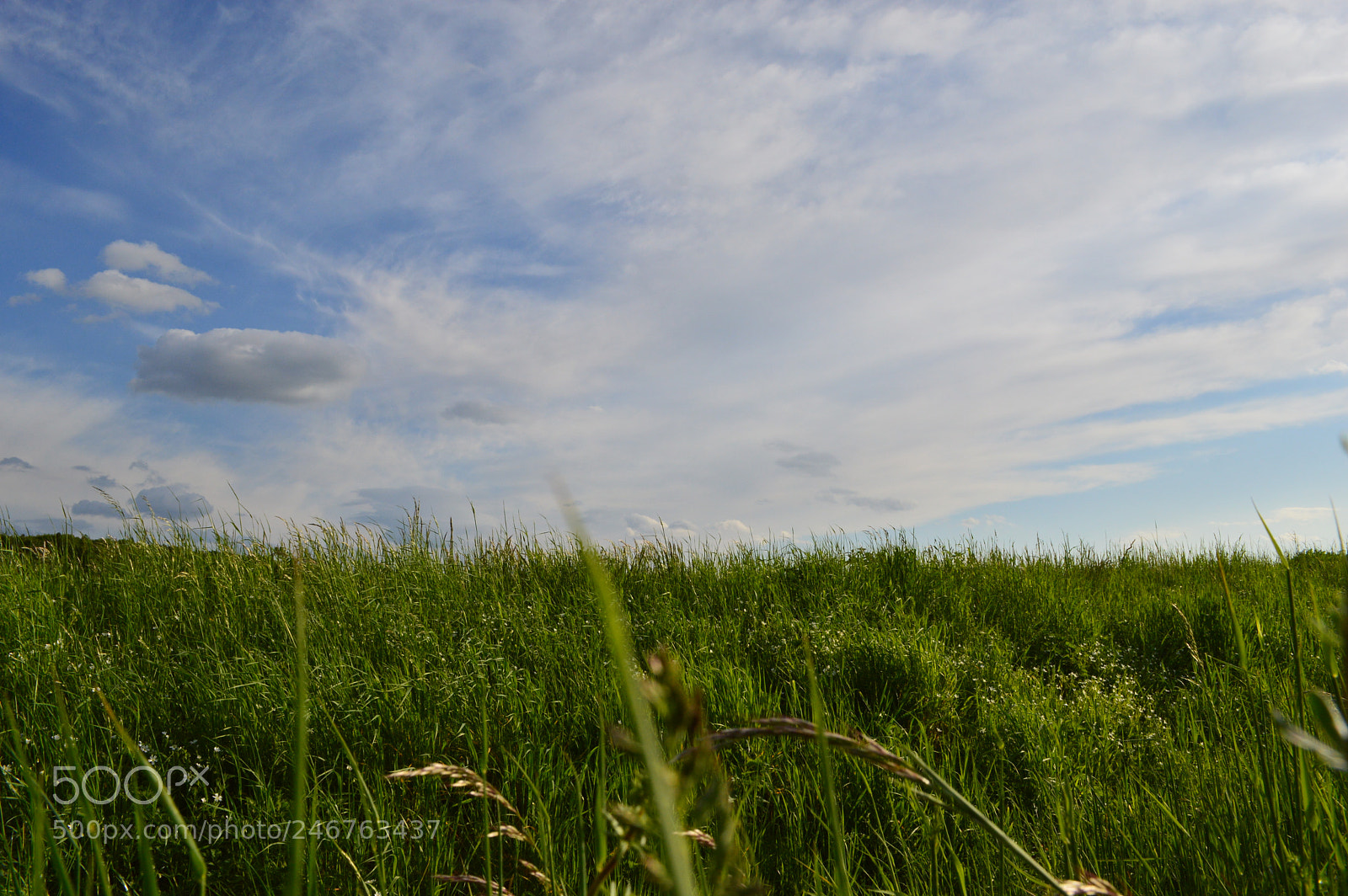 Nikon D3200 sample photo. Bright colours of nature photography