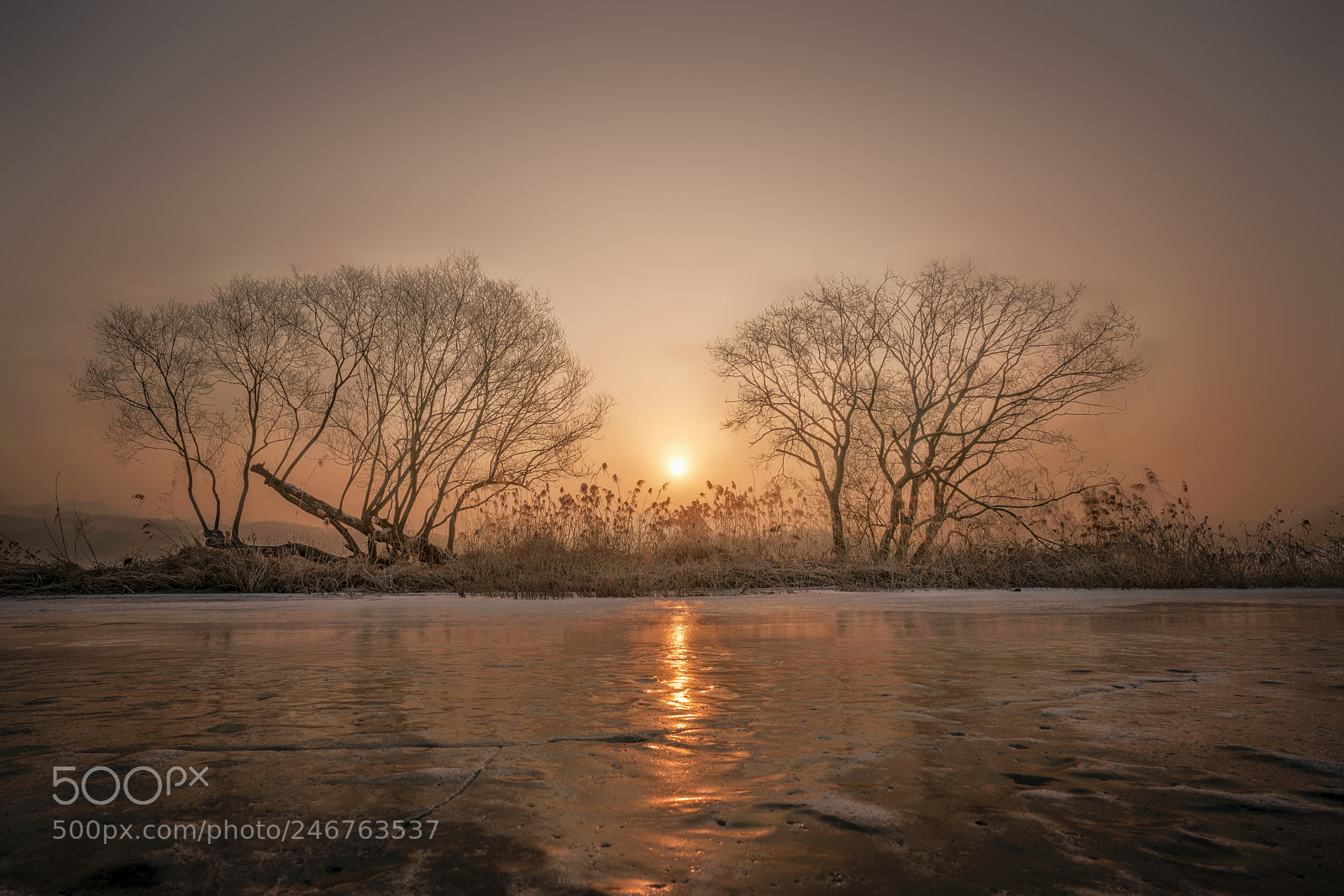 Sony a7R II sample photo. The sunrise photography