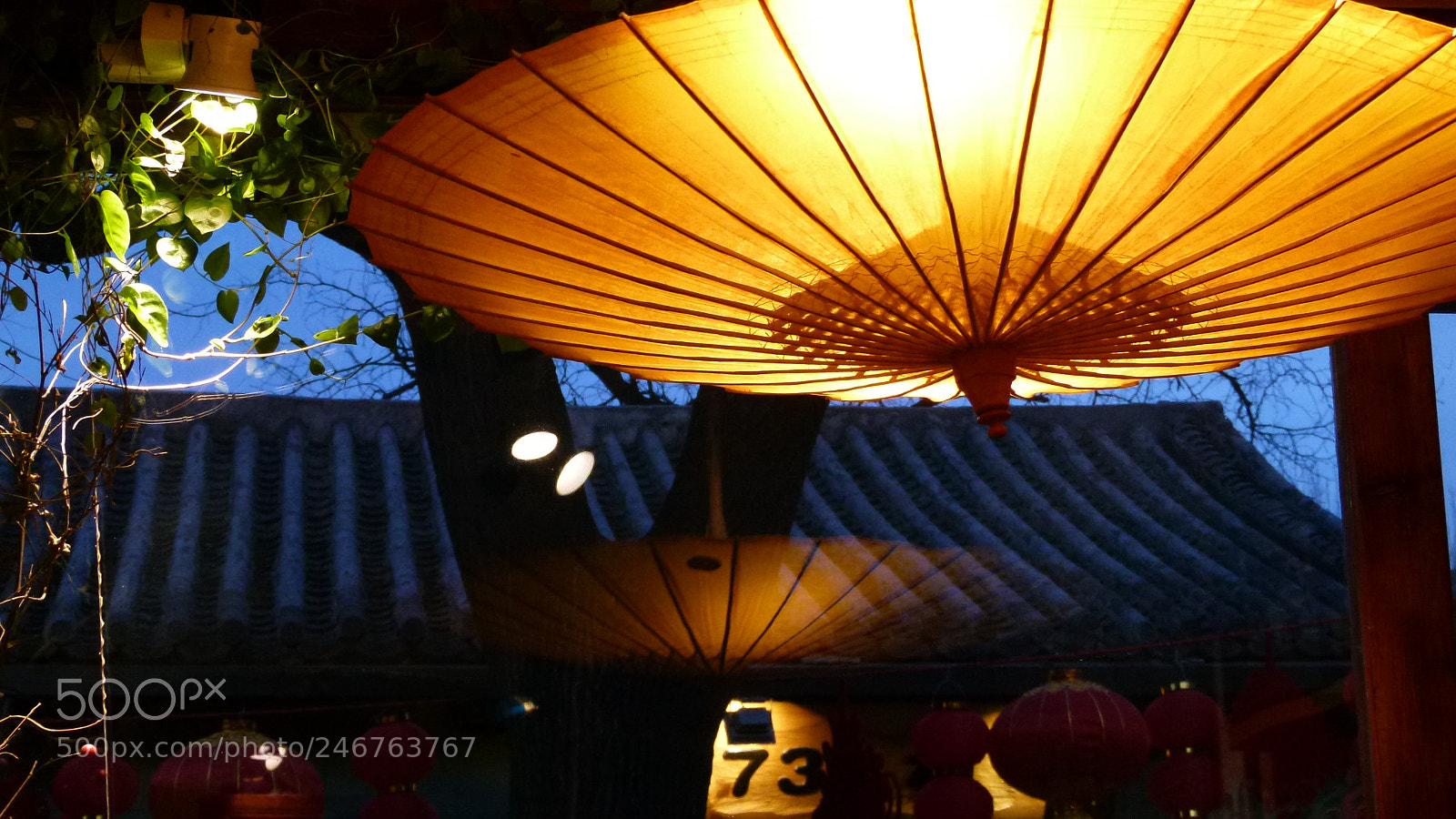 Leica V-Lux 2 sample photo. Untitled photography