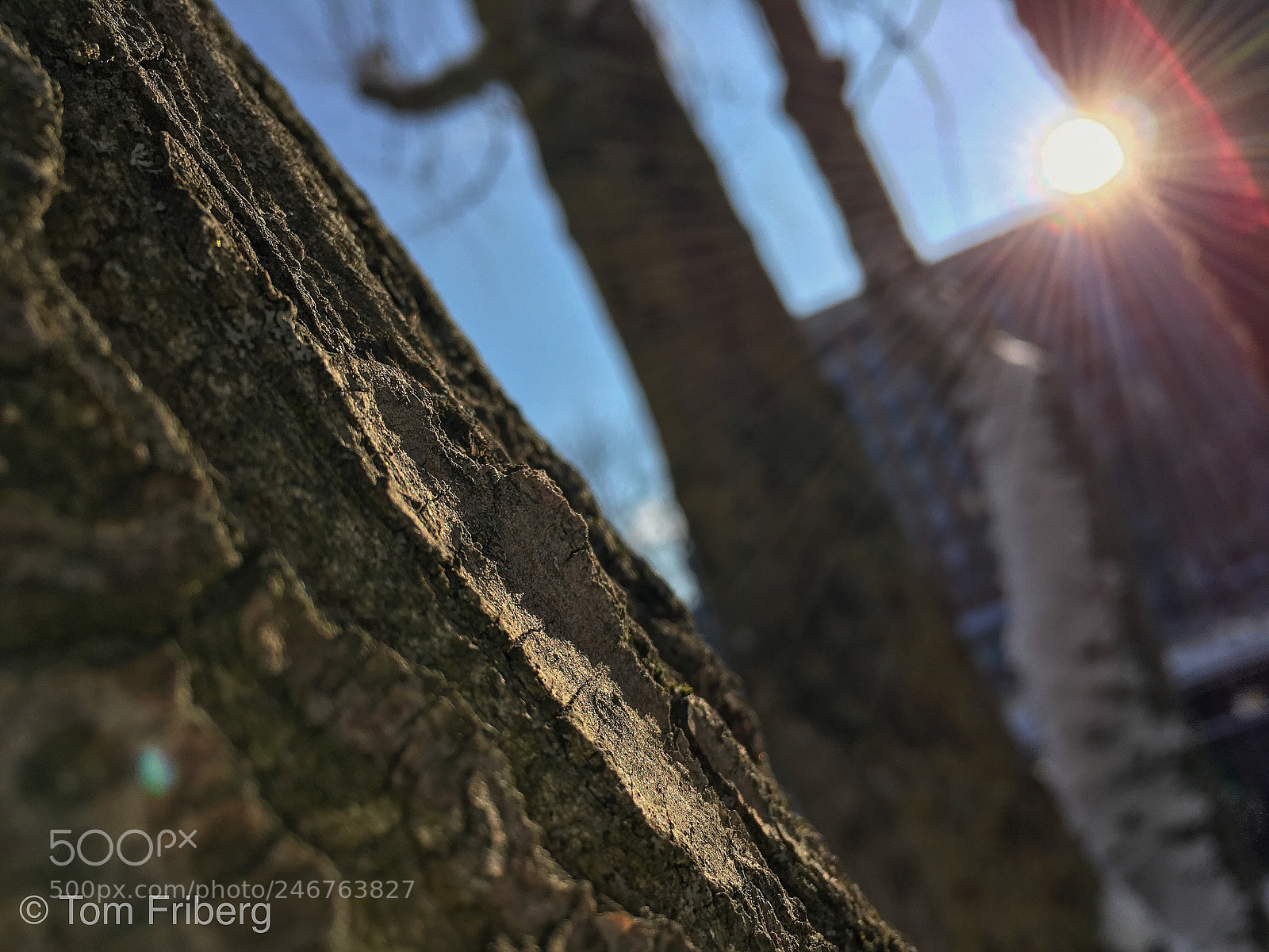 Apple iPhone 6s Plus sample photo. Flawless 4k ? photography