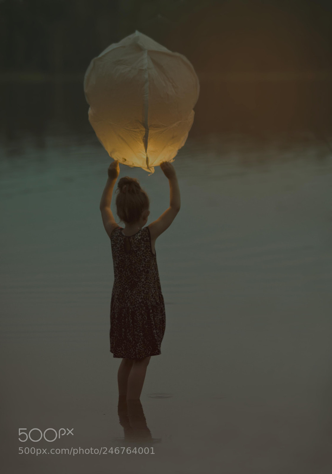 Nikon D90 sample photo. Untitled photography