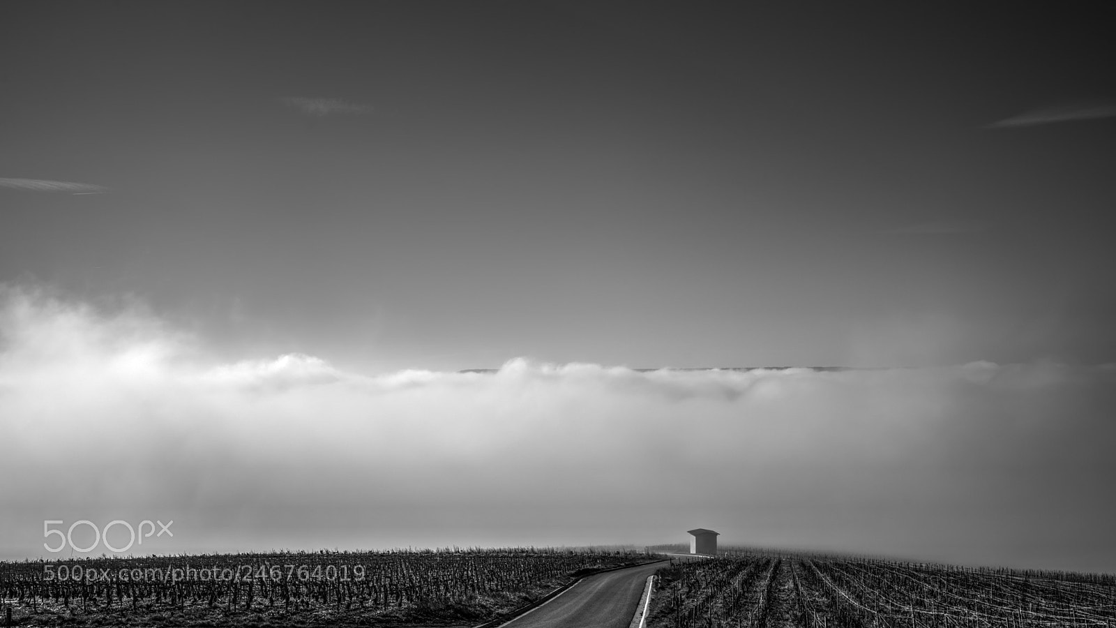 Pentax K-1 sample photo. Just follow the road photography
