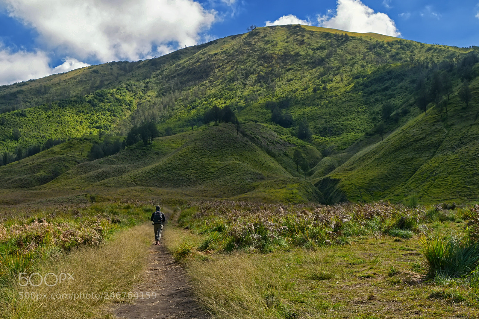 Nikon D7100 sample photo. Walking to the higher photography