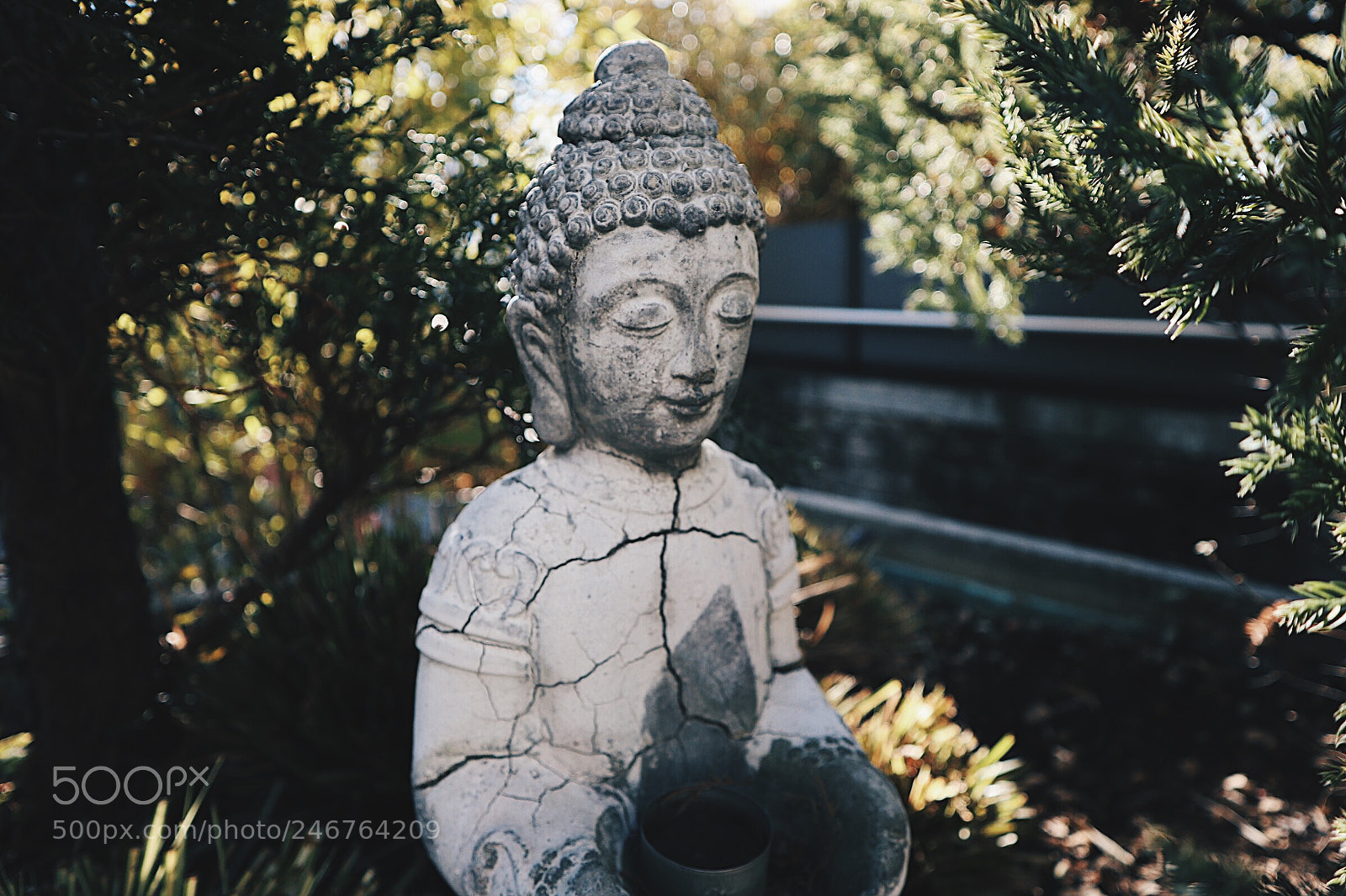 Canon EOS M6 sample photo. Buddha in nature photography