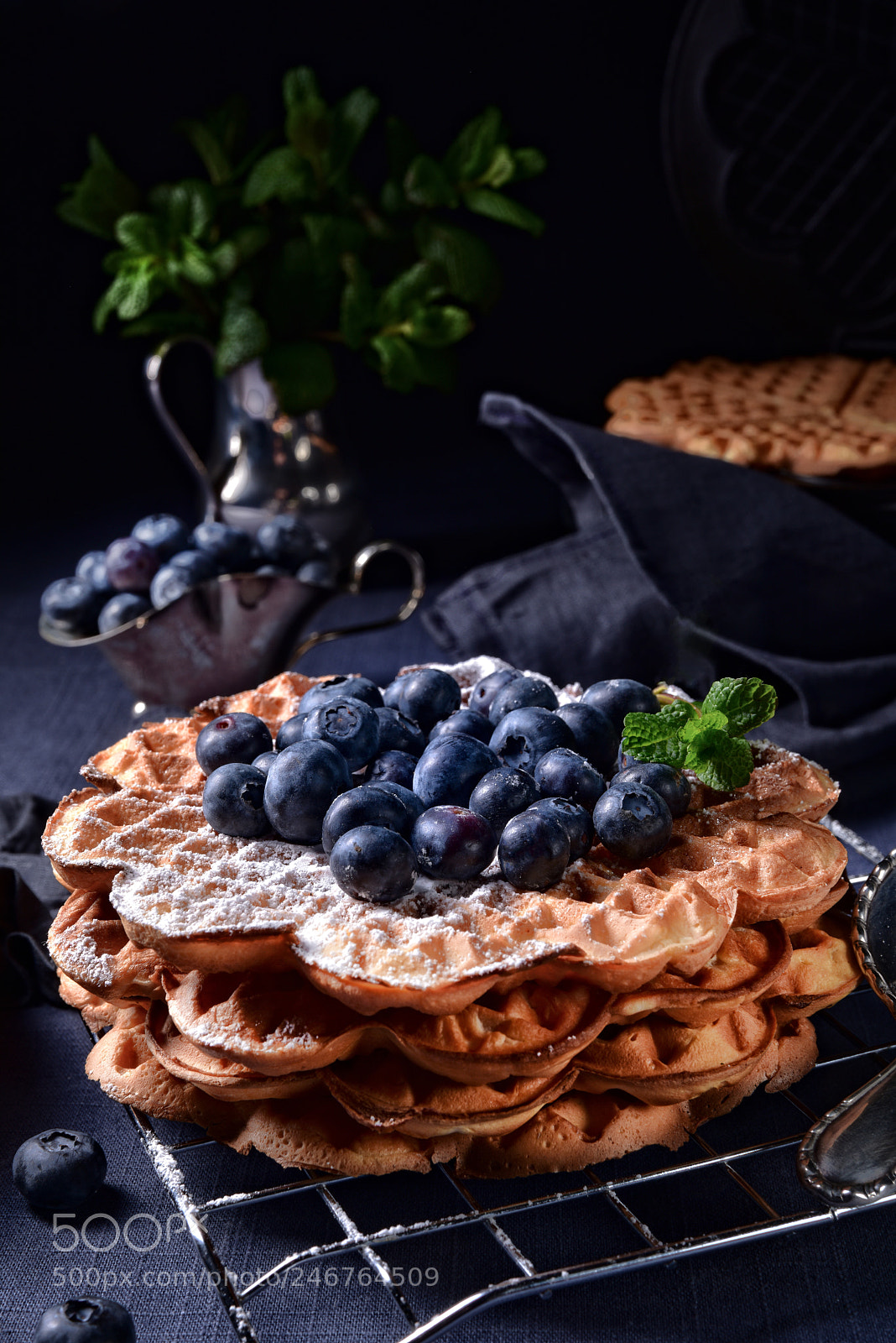 Nikon D810 sample photo. Waffles with blueberries photography