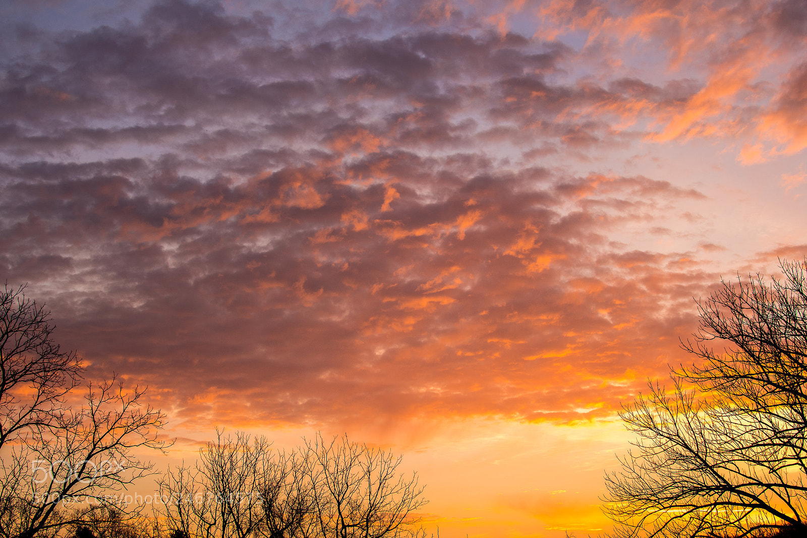 Nikon D500 sample photo. Dawn photography