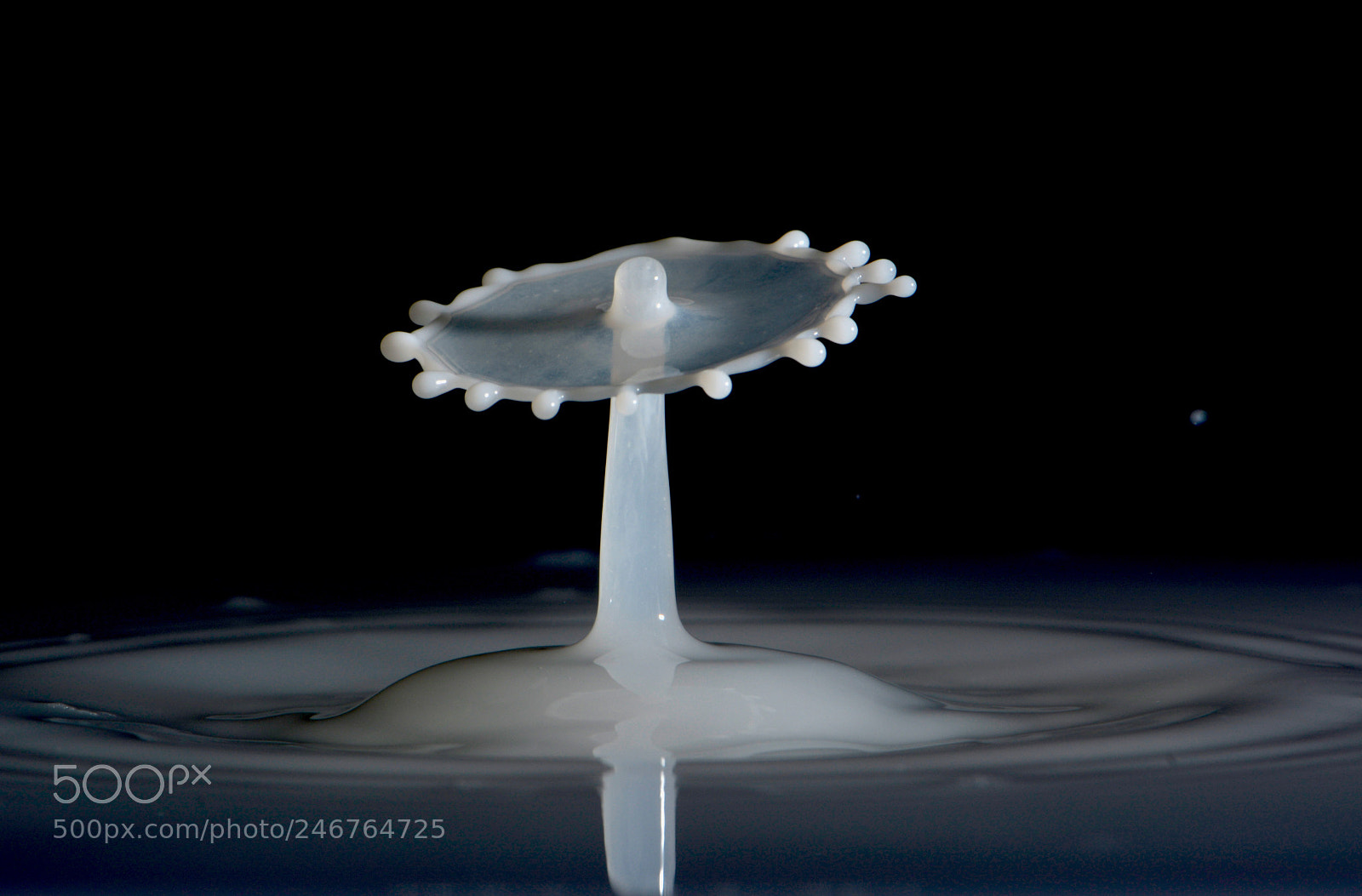 Nikon D5200 sample photo. Milky roatation photography