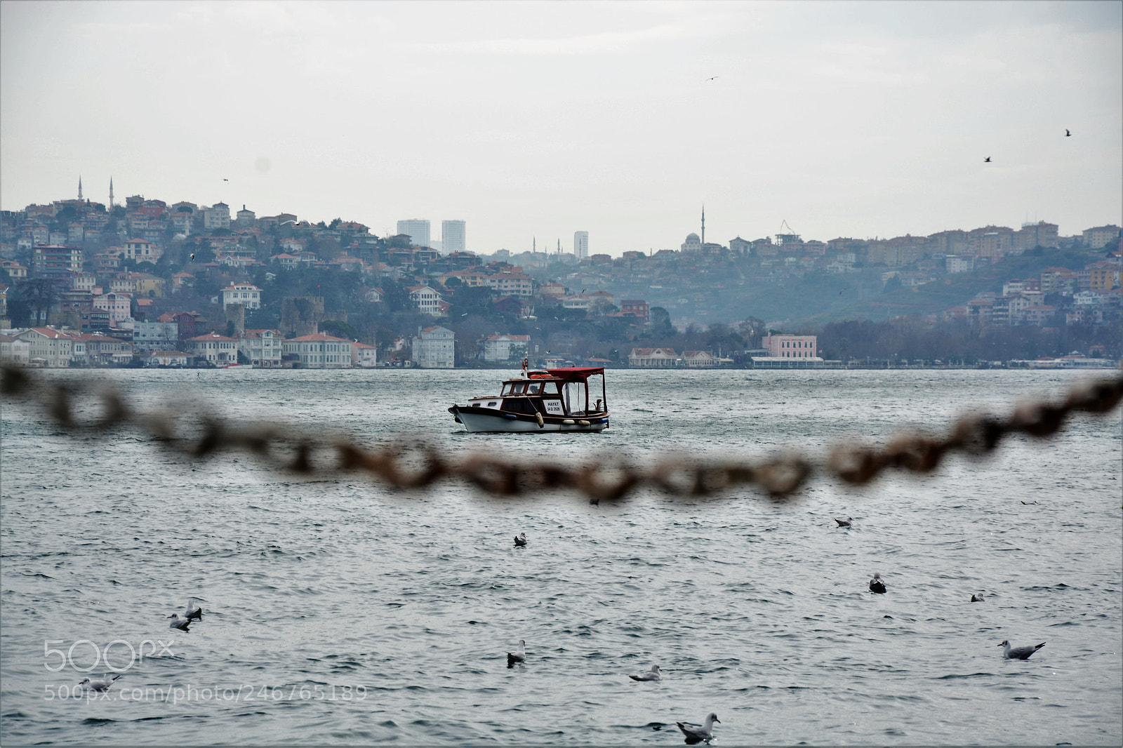 Nikon D7100 sample photo. Zincirlenmiş.. photography