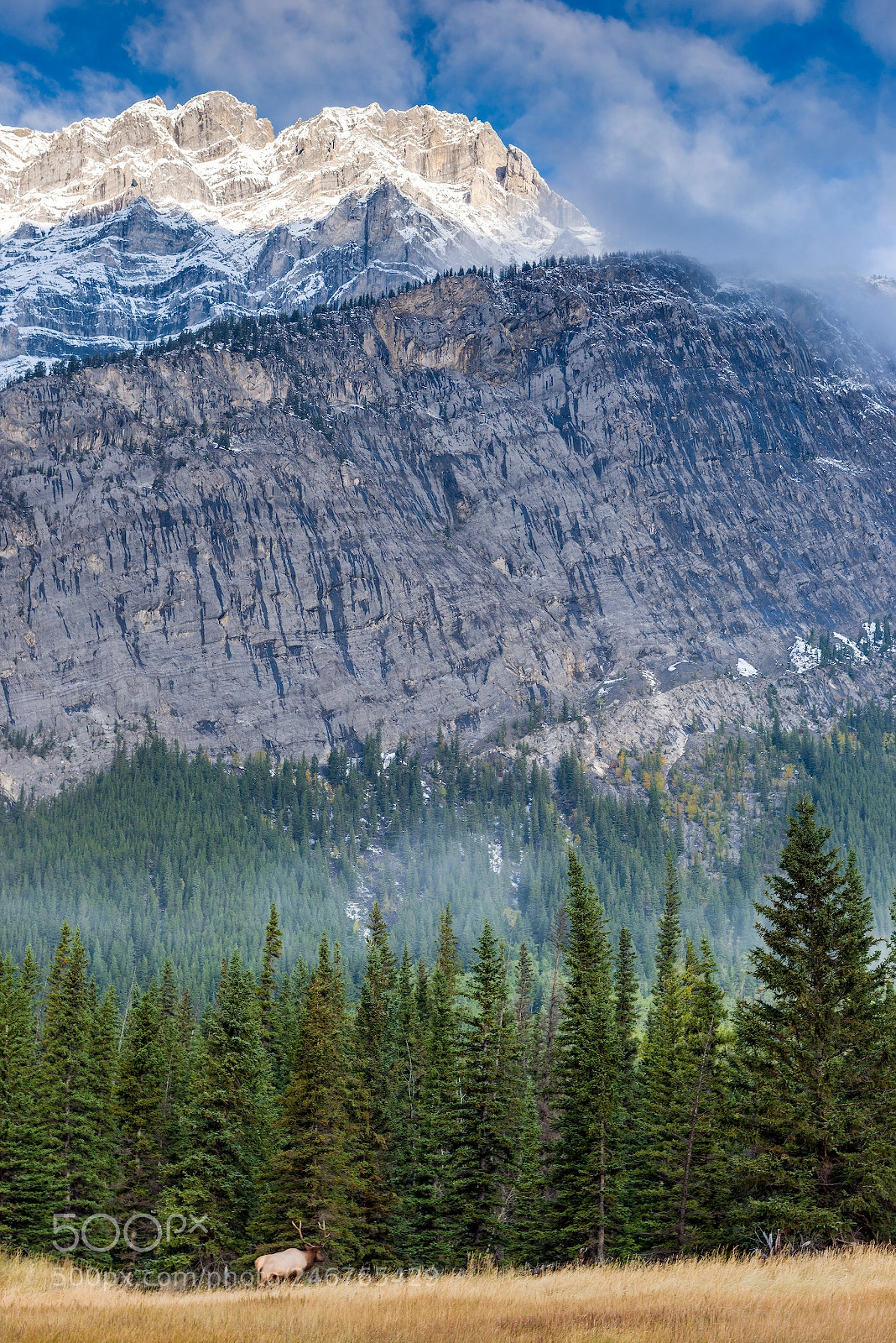 Nikon D800 sample photo. Morning in the rockies photography