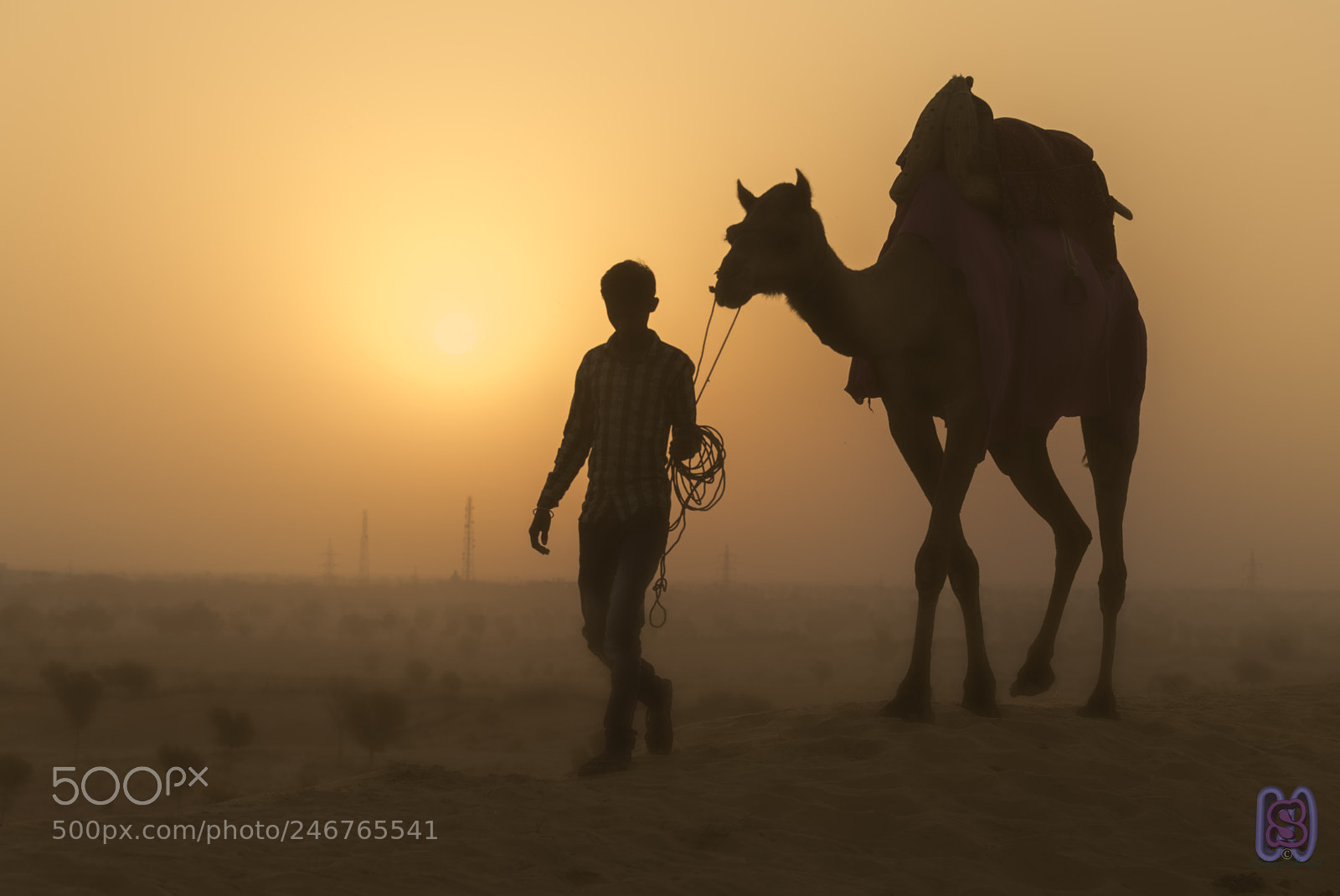 Nikon D850 sample photo. Morning chores photography