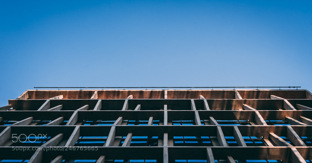 Nikon D610 sample photo. Lines photography