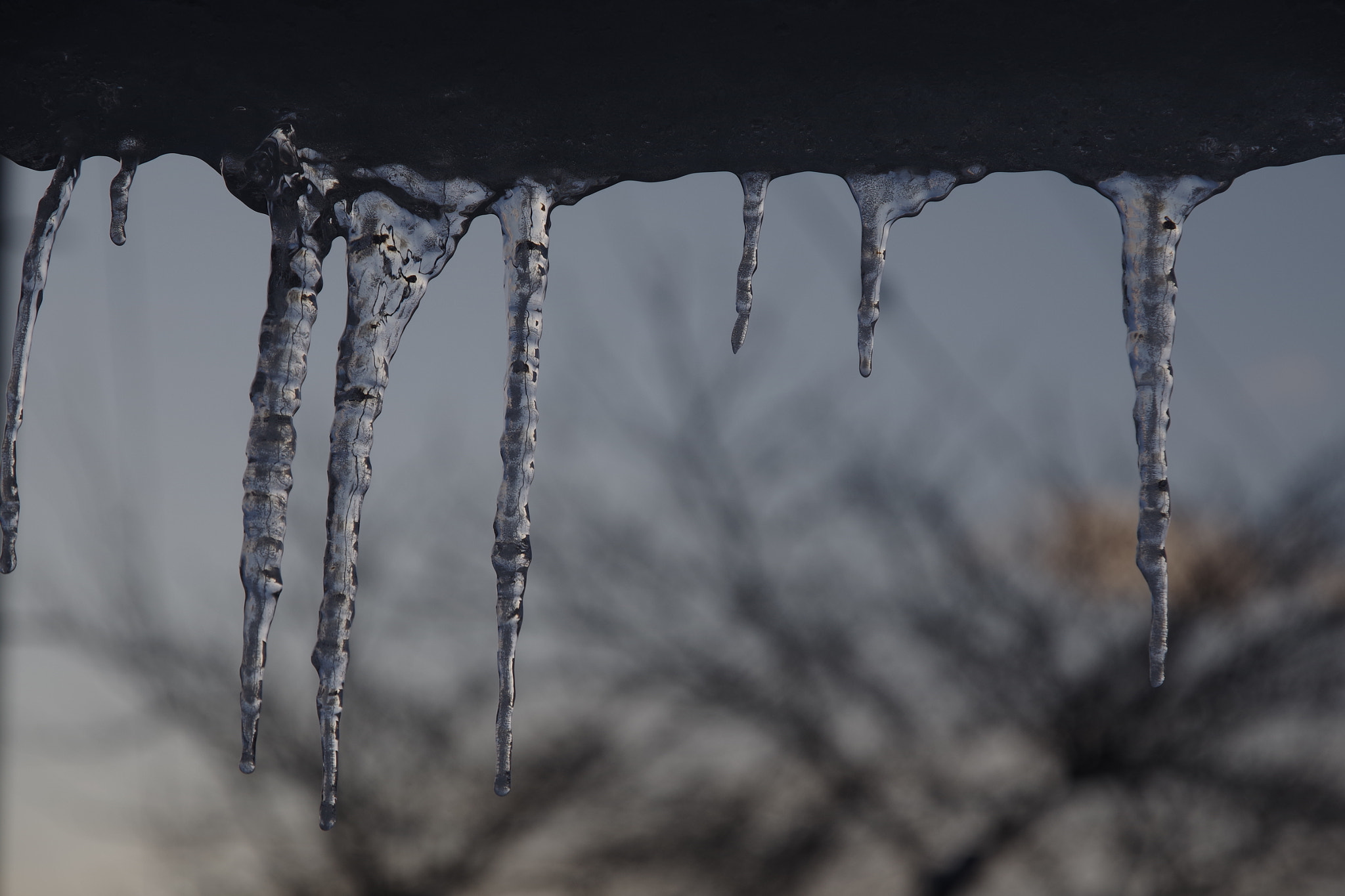 Pentax K-1 + HD Pentax DA 16-85mm F3.5-5.6 ED DC WR sample photo. Icicles in the morning photography