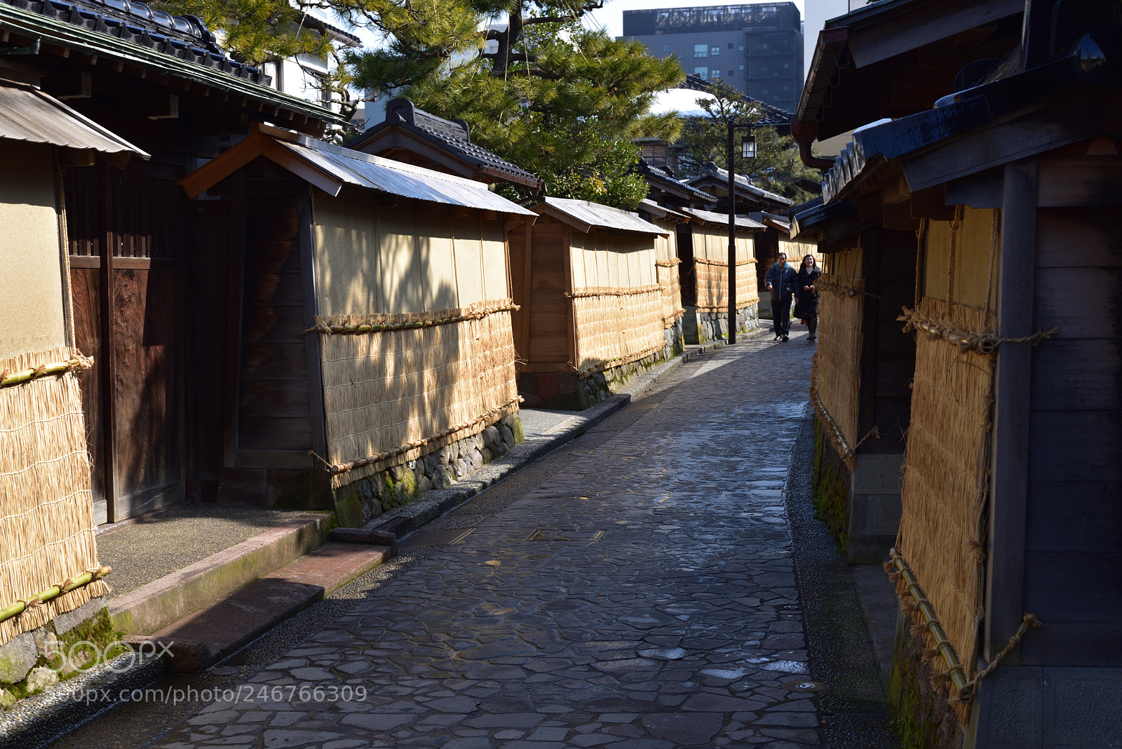Nikon D750 + Nikon AF-S Nikkor 50mm F1.8G sample photo. 金沢長町武家屋敷跡 photography