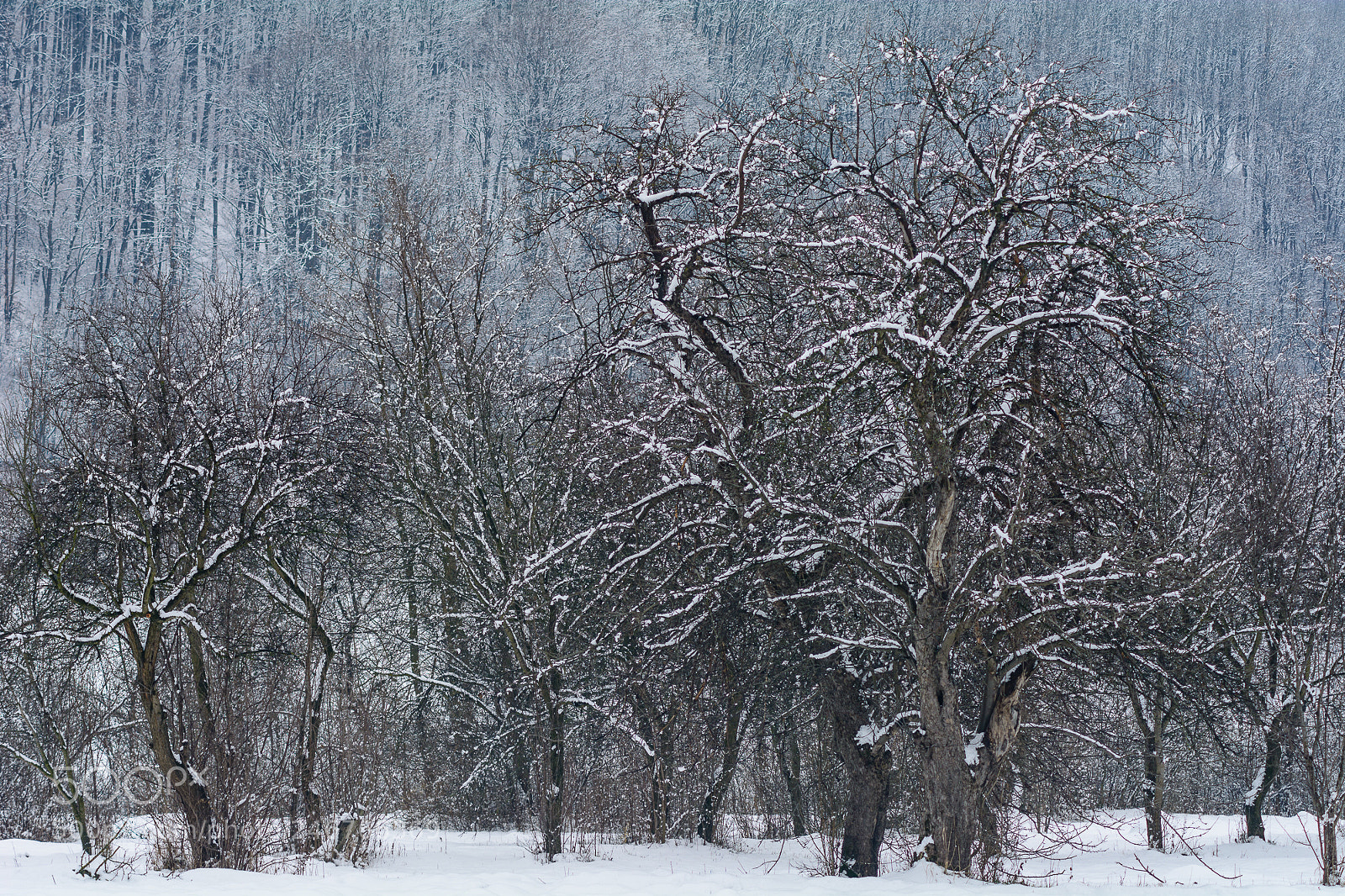 Nikon D7100 sample photo. Sleep of the earth photography