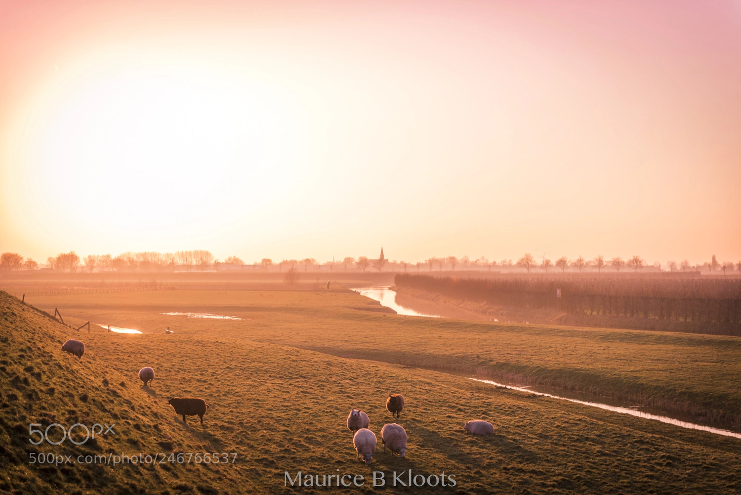 Nikon D810 sample photo. Untitled photography