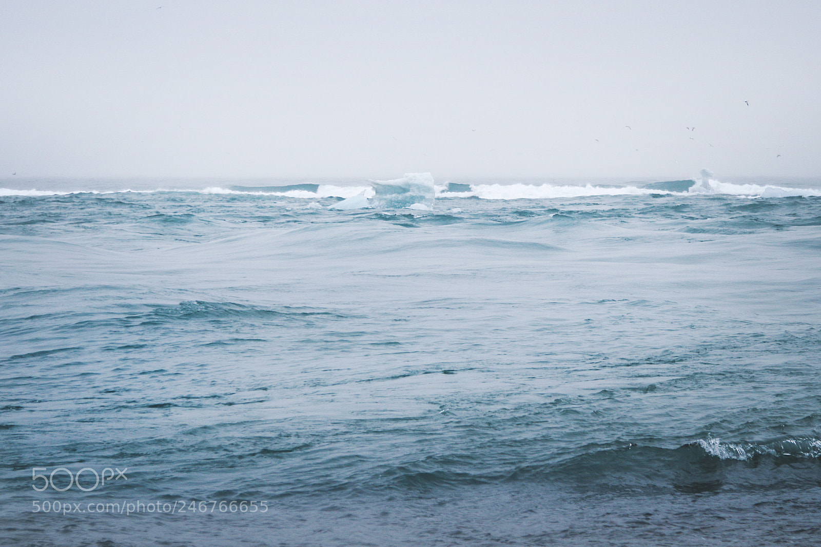 Canon EOS 30D sample photo. Ice land photography