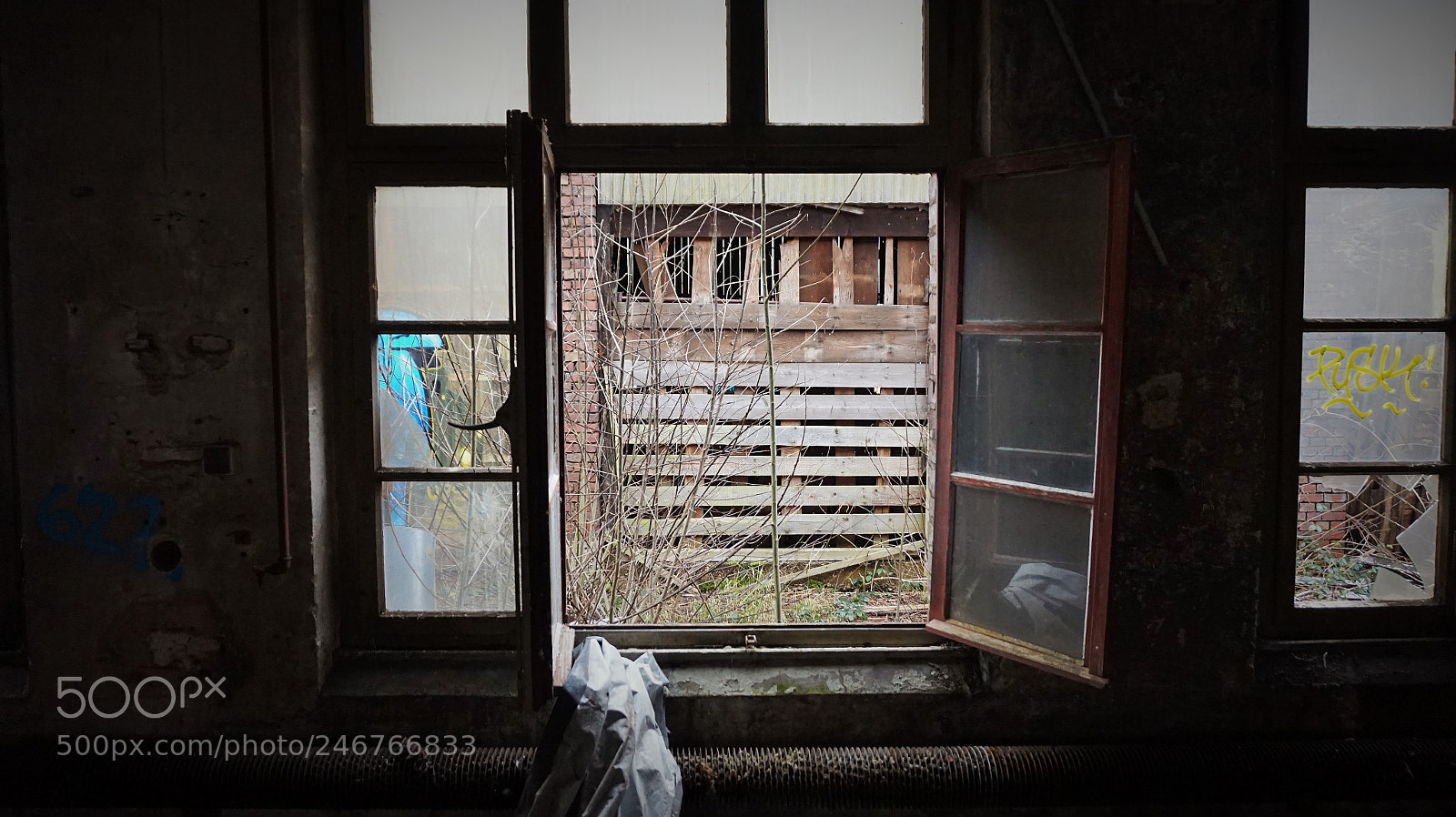 Sony Alpha a5000 (ILCE 5000) sample photo. View photography