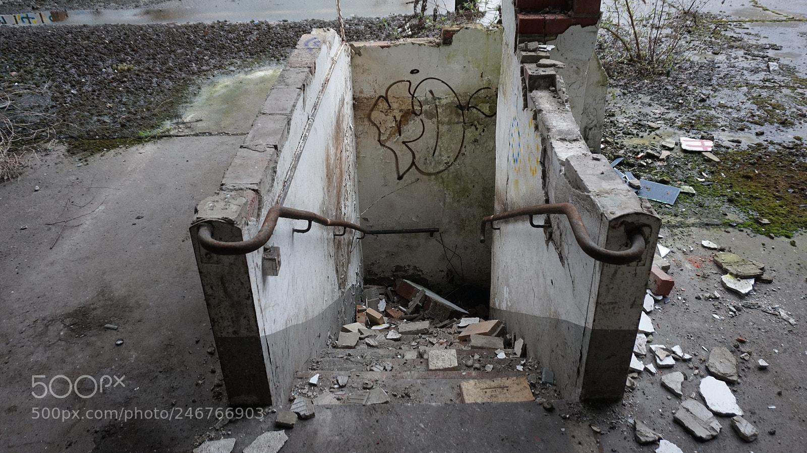 Sony Alpha a5000 (ILCE 5000) sample photo. Downstairs photography