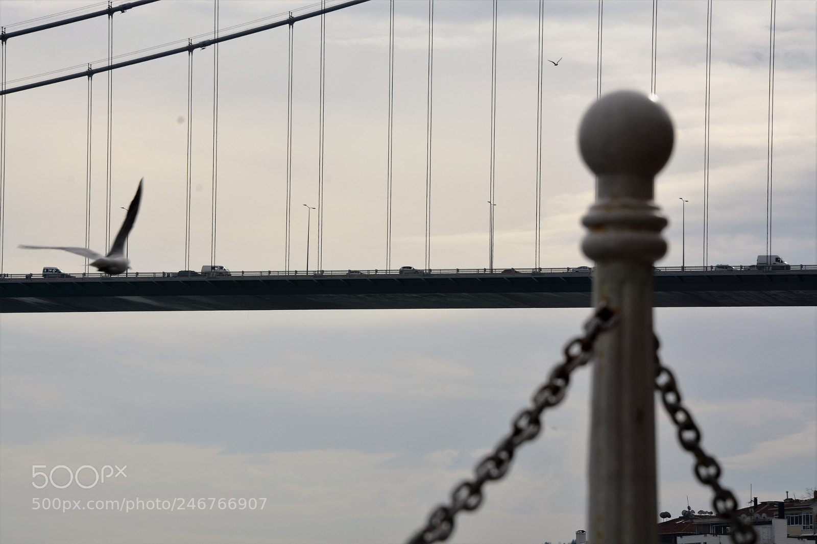 Nikon D7100 sample photo. Köprü... photography