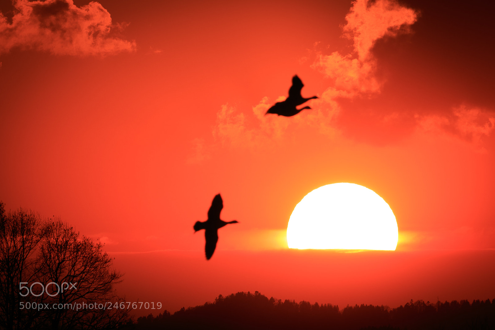 Canon EOS 7D Mark II sample photo. Sunset photography