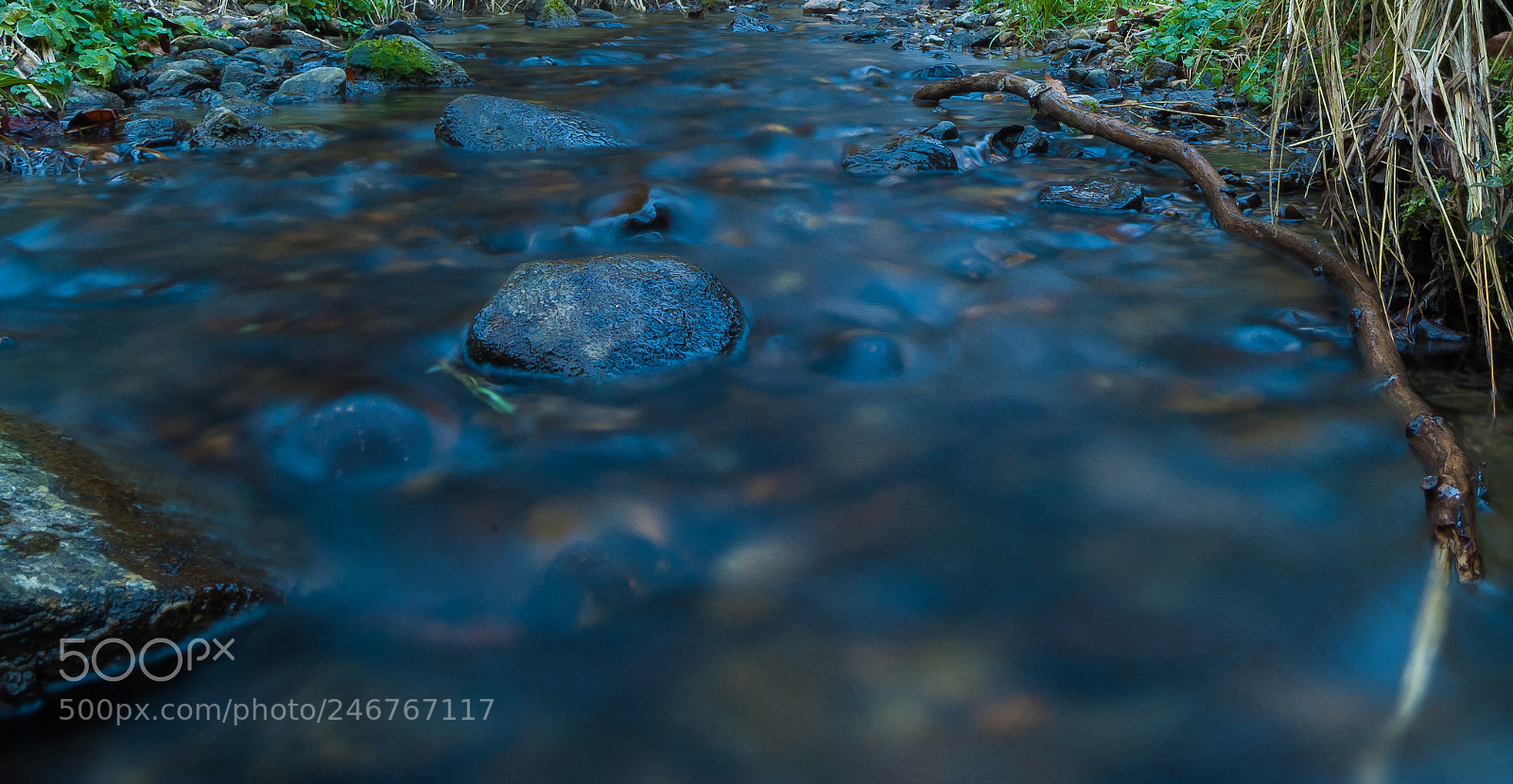 Nikon D70 sample photo. Noise photography