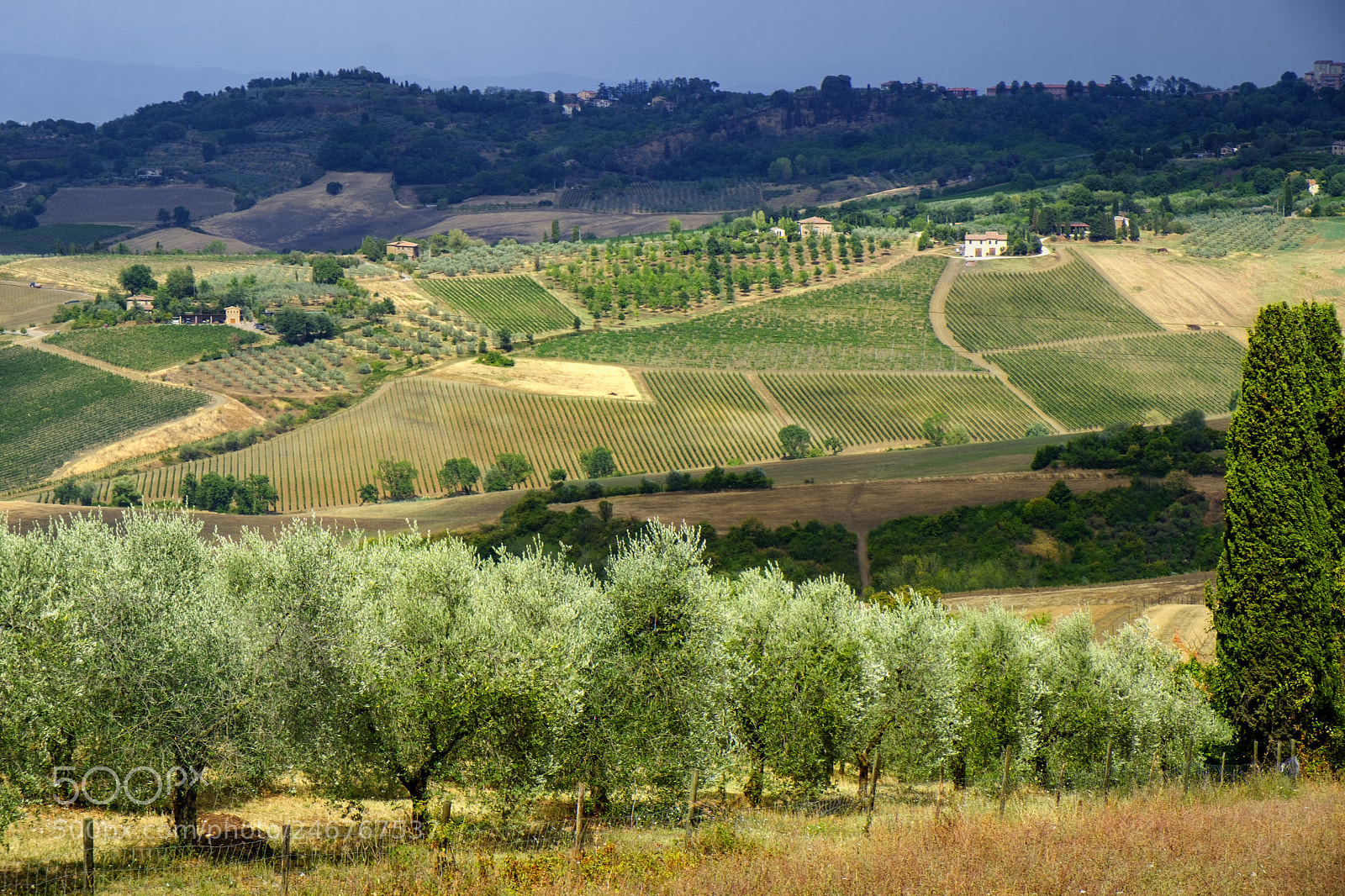 Fujifilm X-T2 sample photo. Summer landscape near montepulciano photography
