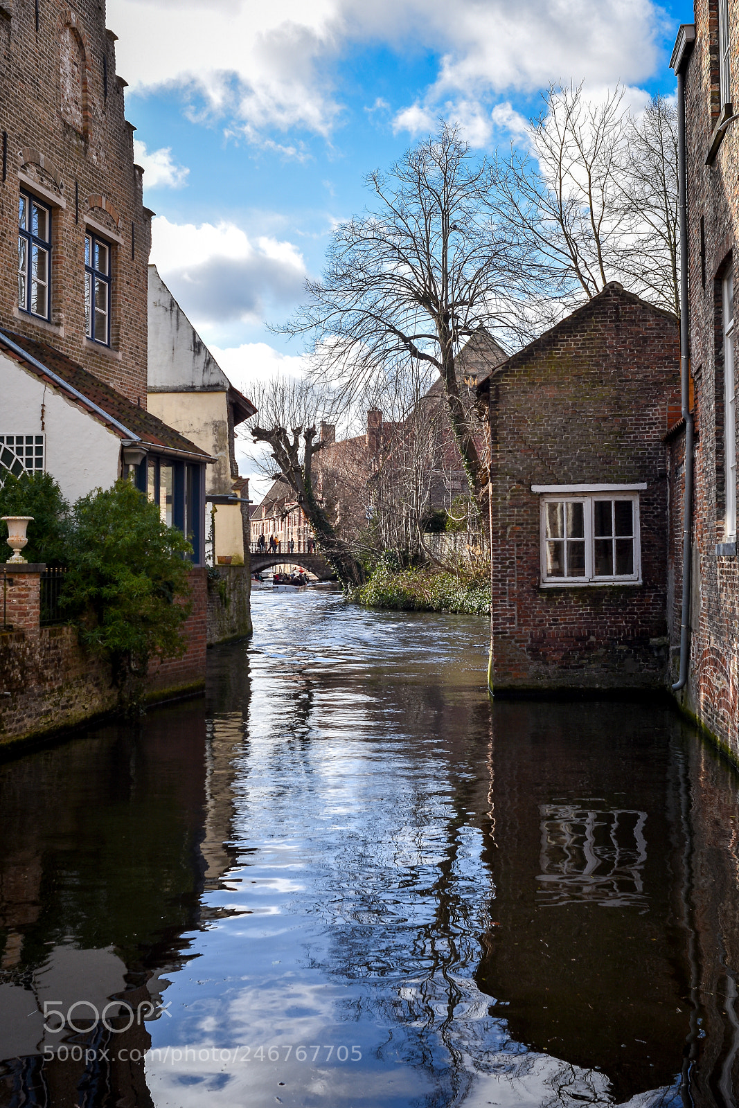 Nikon D7200 sample photo. Reflections in the water photography