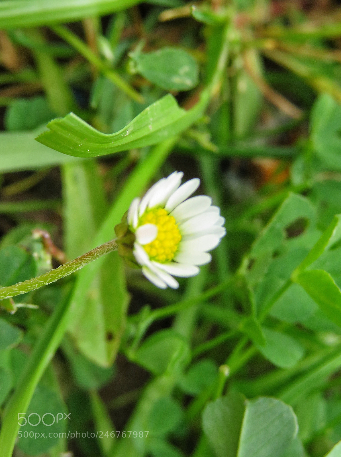 Canon PowerShot SX720 HS sample photo. Untitled photography