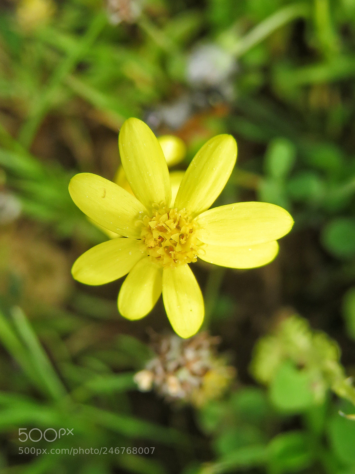 Canon PowerShot SX720 HS sample photo. Untitled photography