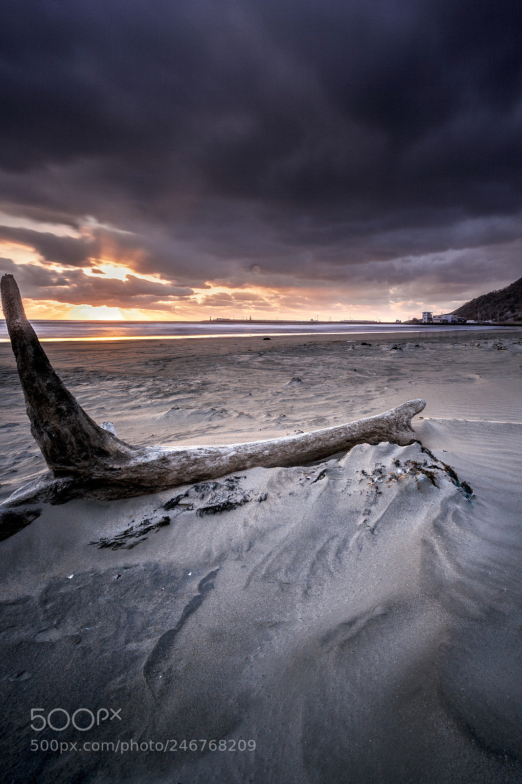 Canon EOS 60D sample photo. The winter sea of photography