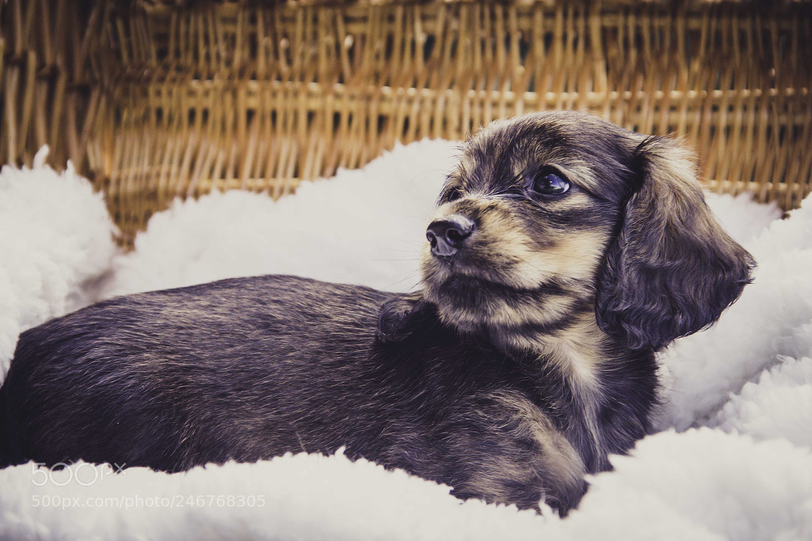 Canon EOS 60D sample photo. Elegance photography