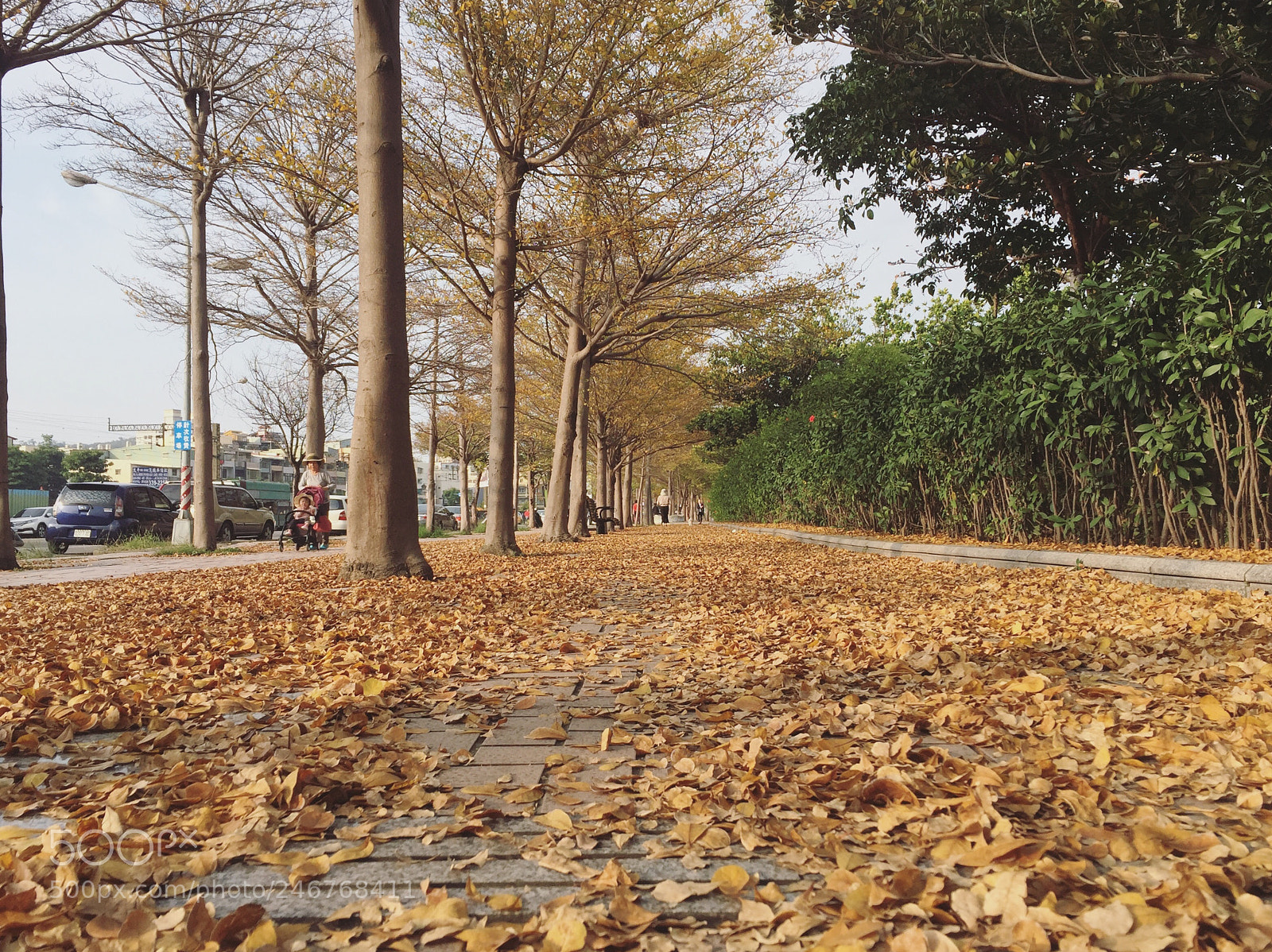 Apple iPhone 6 sample photo. Happy lunar new year photography