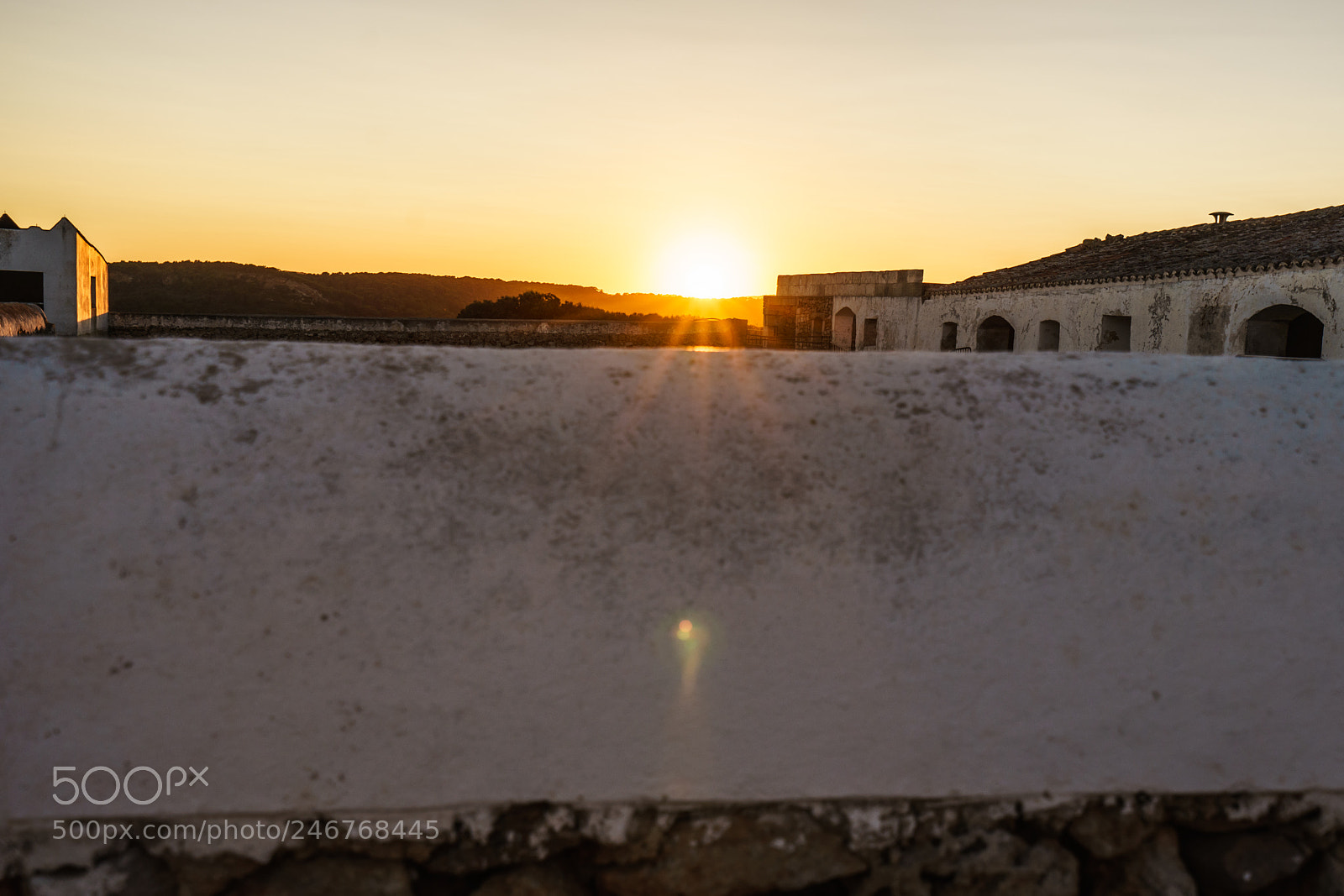 Sony a7 II sample photo. Finca photography