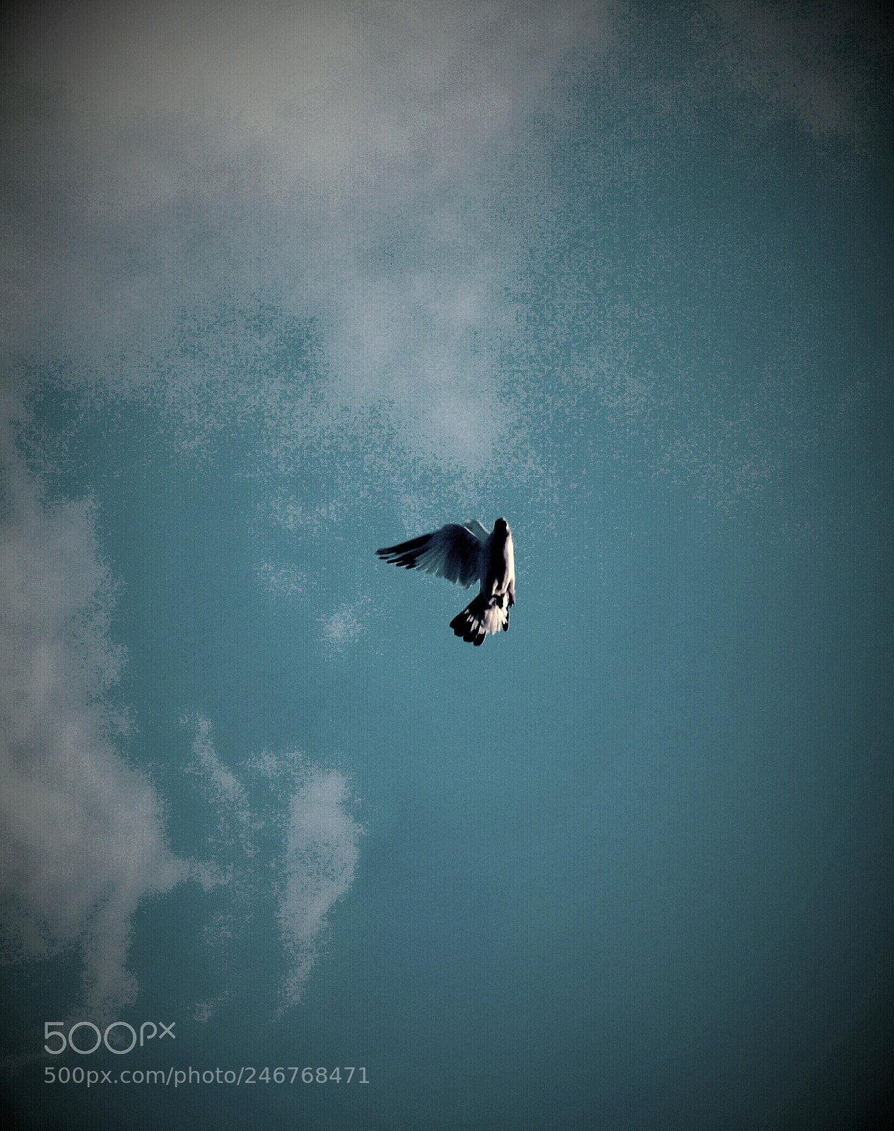 Nikon D7100 sample photo. Untitled photography