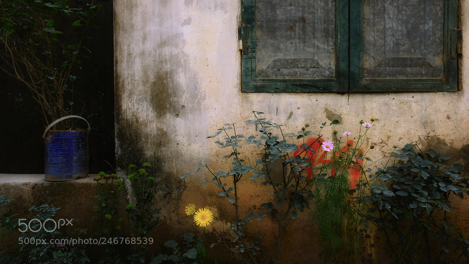 Fujifilm X-T20 sample photo. Untitled photography
