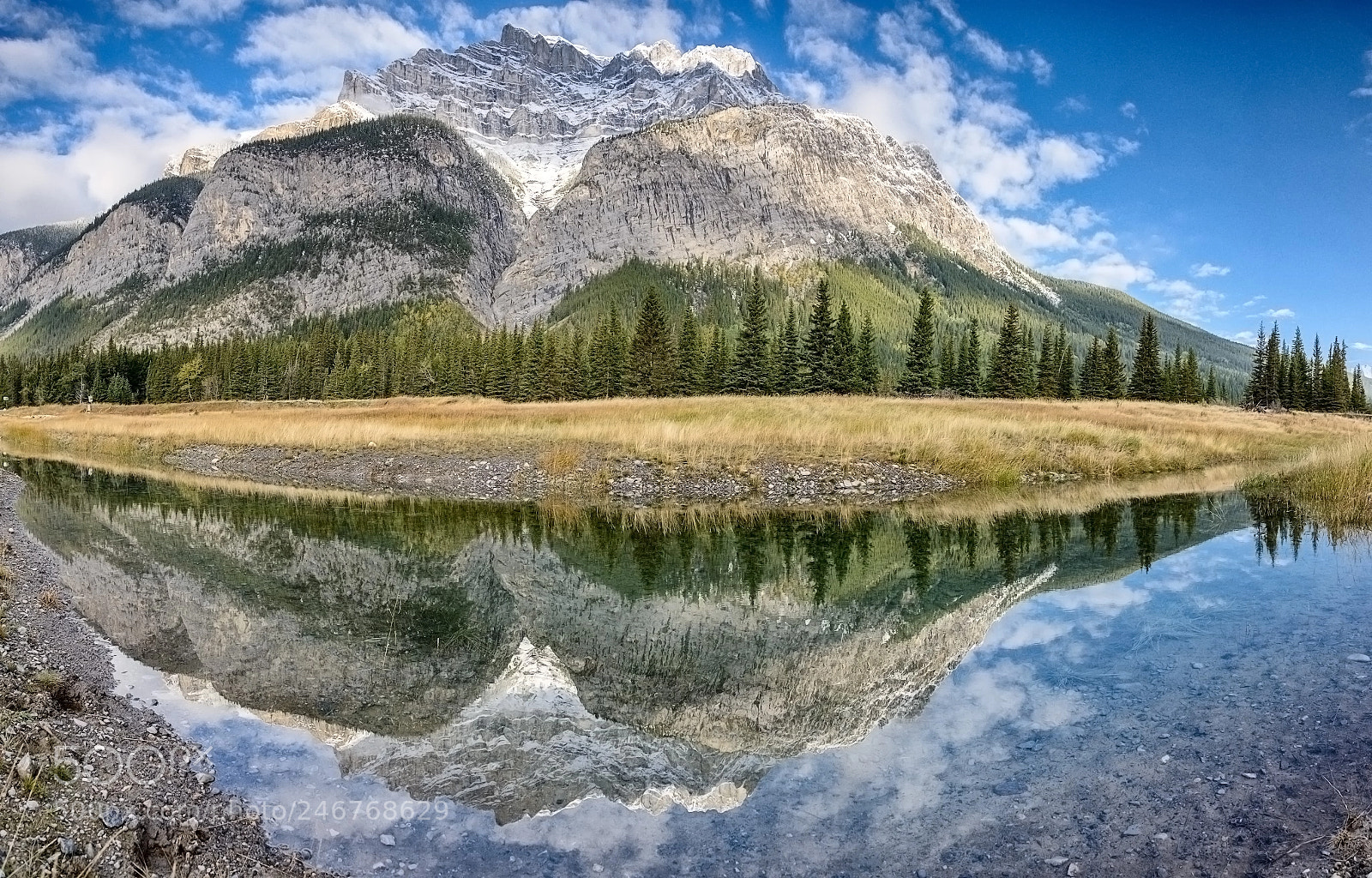 Nikon D800 sample photo. Reflection photography