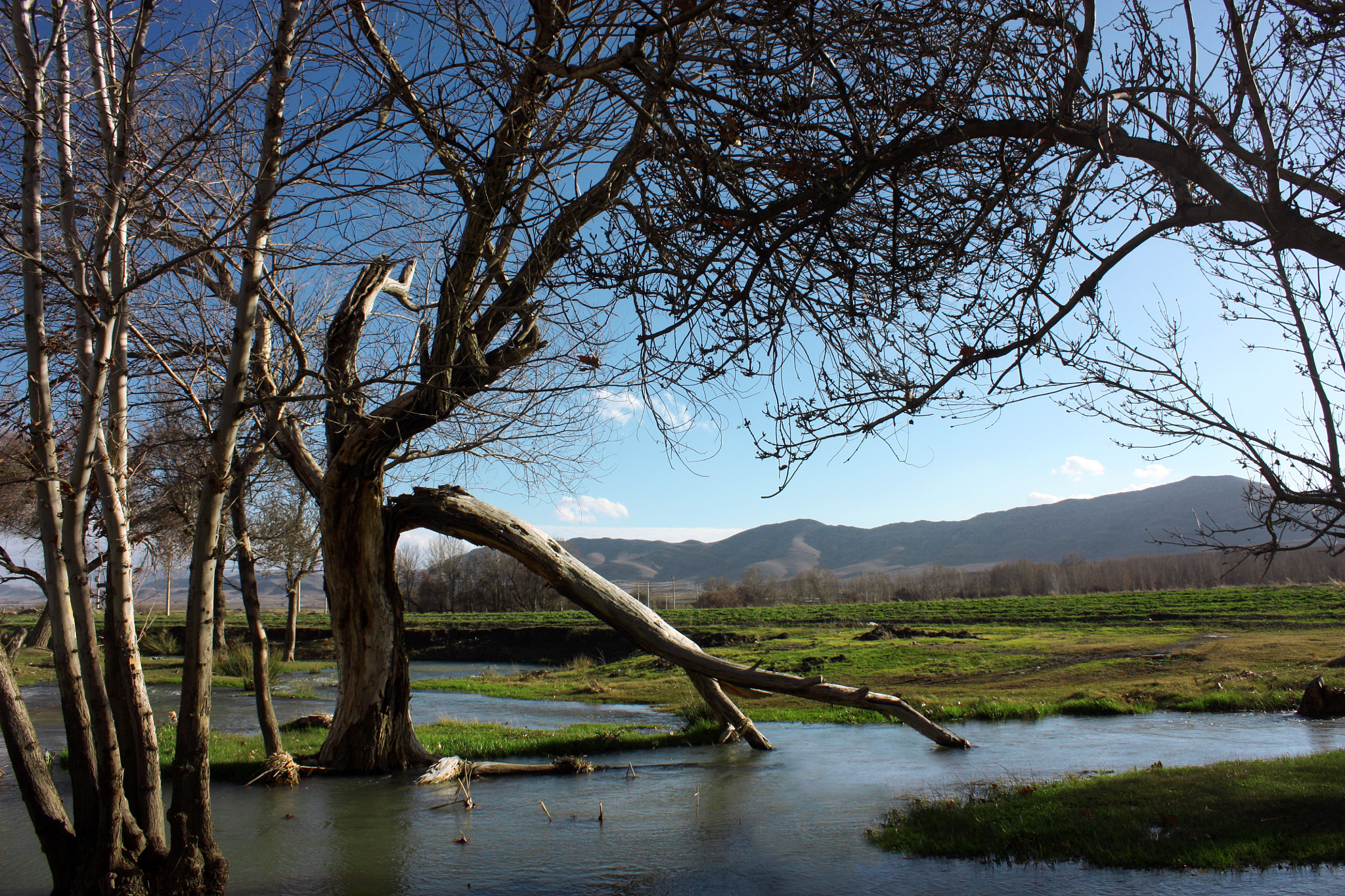 Canon EOS 450D (EOS Rebel XSi / EOS Kiss X2) sample photo. The river photography