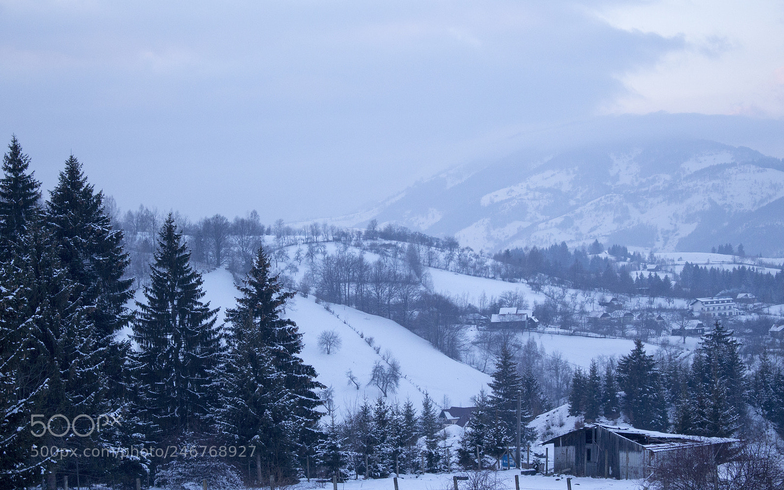 Canon EOS 700D (EOS Rebel T5i / EOS Kiss X7i) sample photo. Bran photography