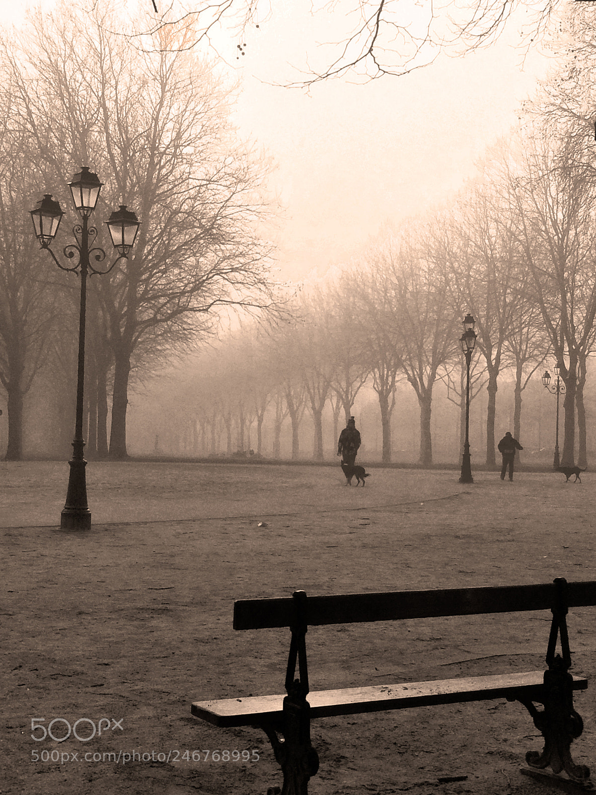 Apple iPhone 5s sample photo. Brouillard en hiver photography