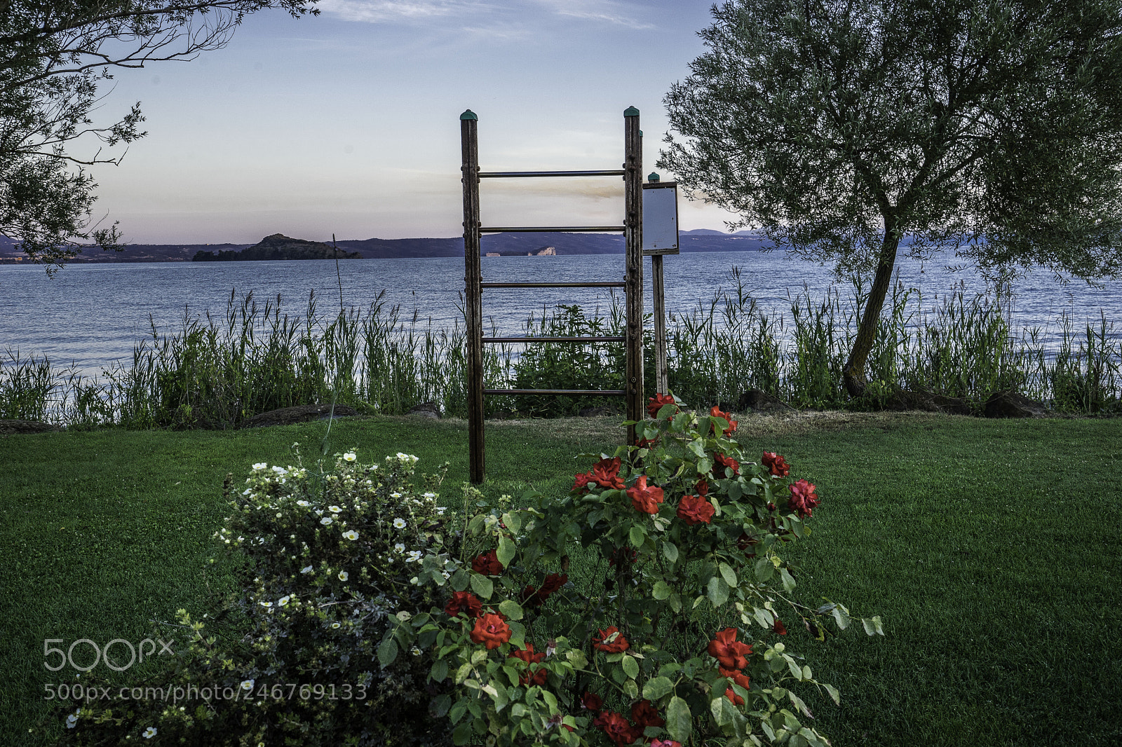 Sony a7 II sample photo. Bolsena fiori su lago photography