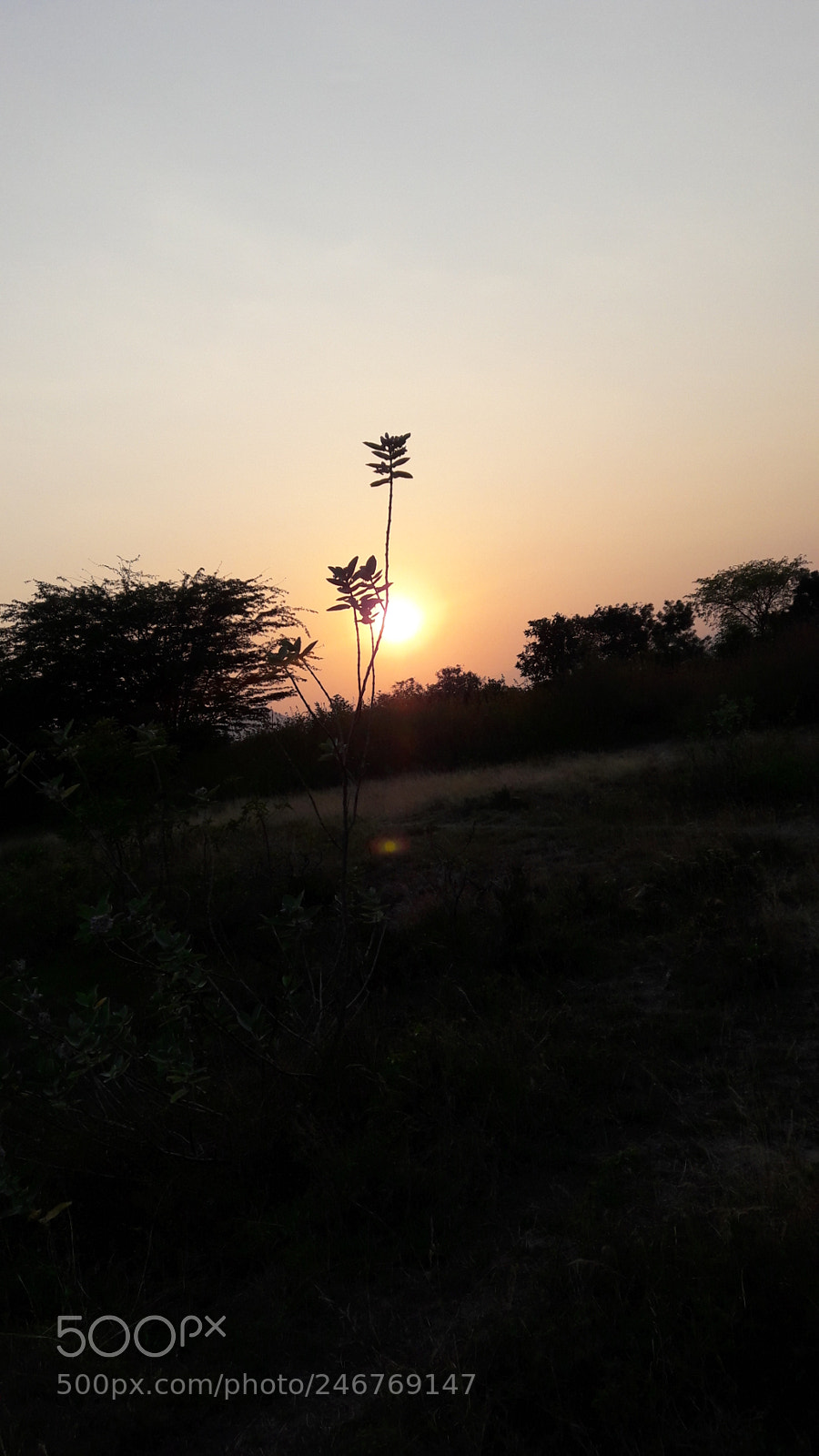Samsung Galaxy J7 sample photo. Untitled photography