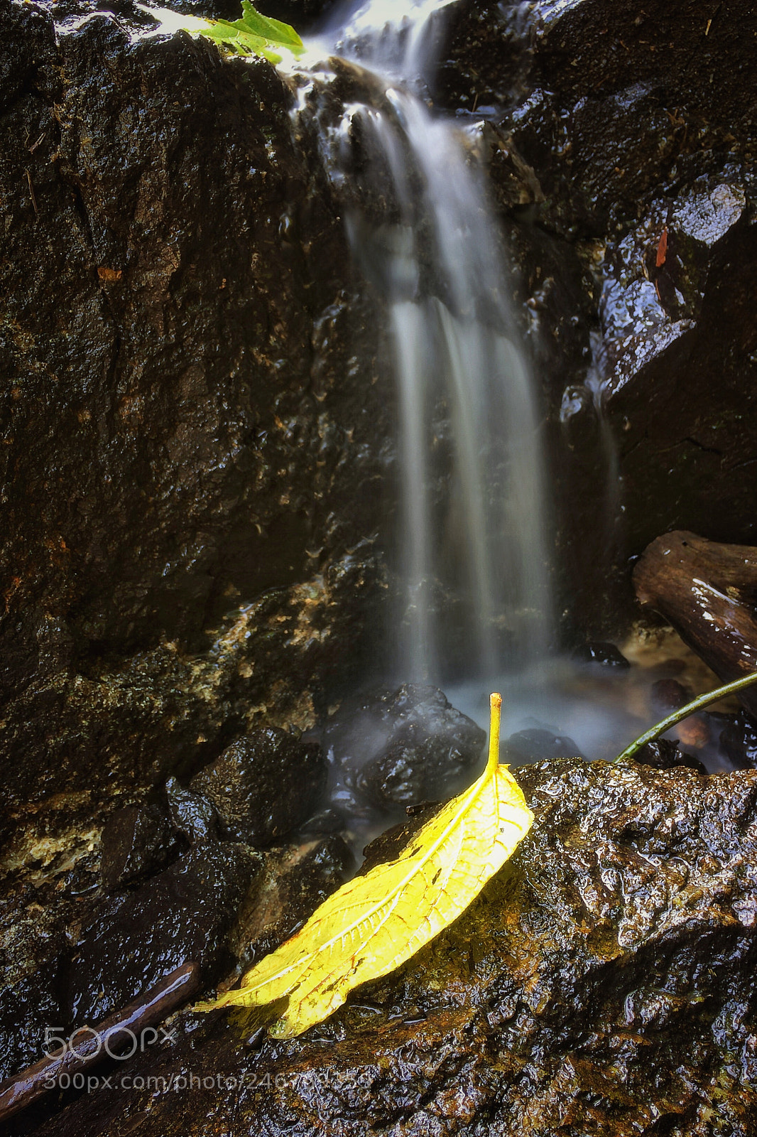 Apple iPhone sample photo. 时间如流水 photography