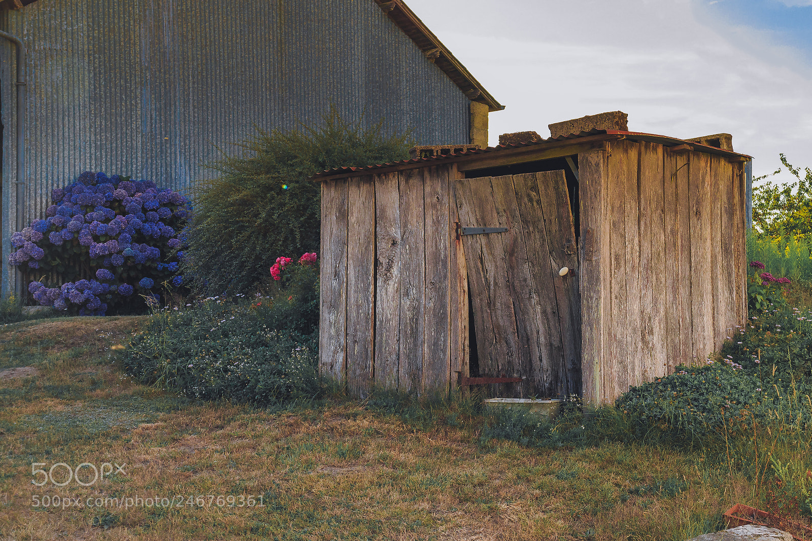 Canon EOS M sample photo. The garden shed photography