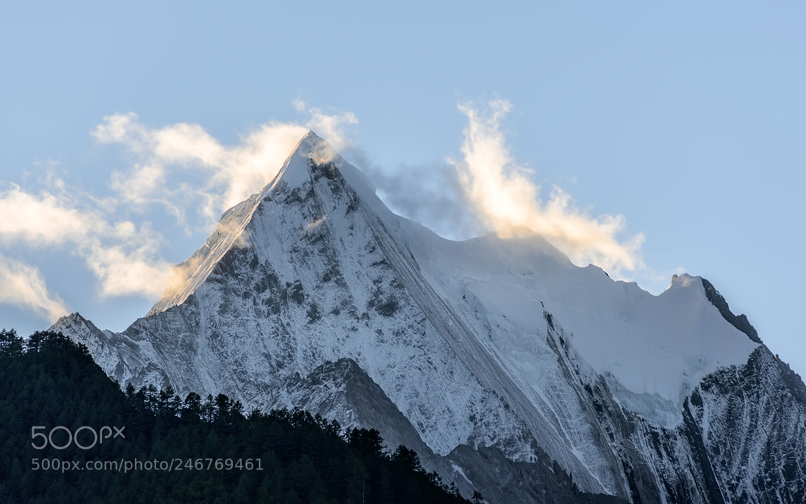 Nikon D810 sample photo. Golden peak photography