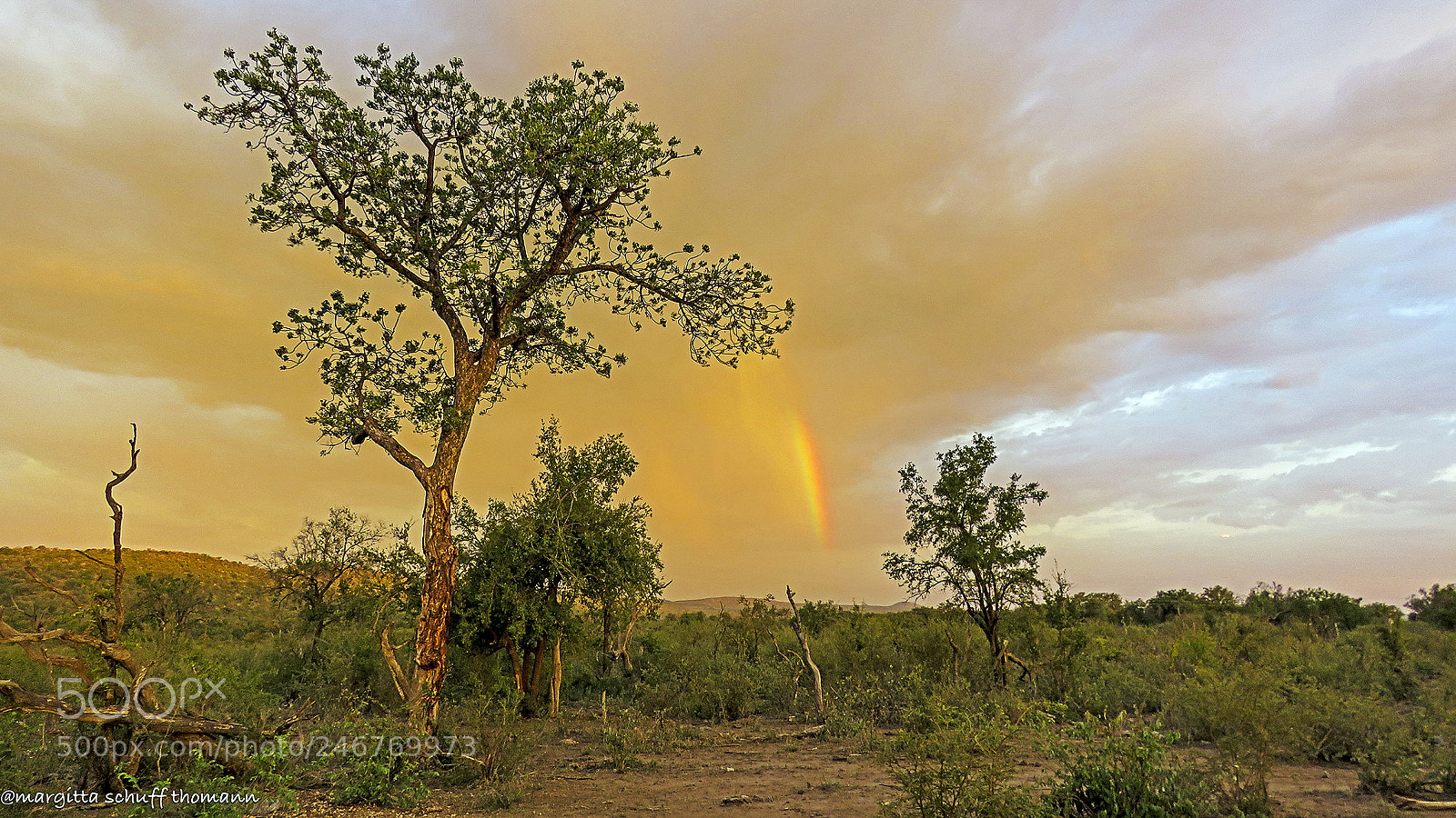 Canon PowerShot SX60 HS sample photo. Sunset's coming with rainbow .. photography