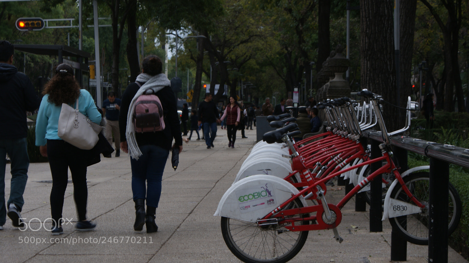 Sony DT 18-70mm F3.5-5.6 sample photo. Ecology mexico photography