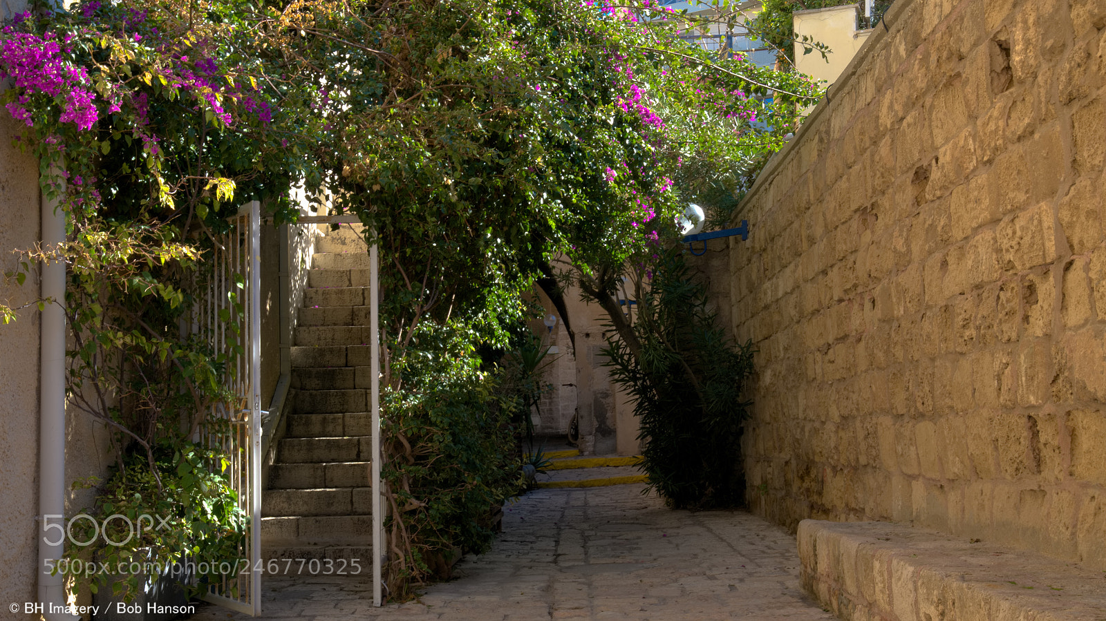 Sony a7R II sample photo. Jaffahrnwm photography