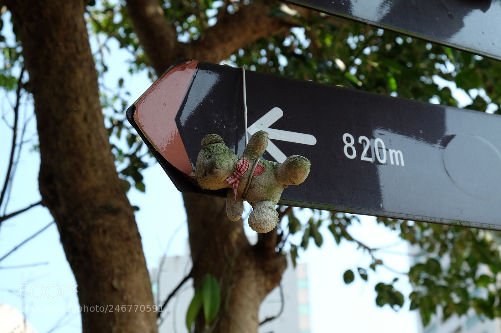 Fujifilm X-T10 sample photo. Where to go photography
