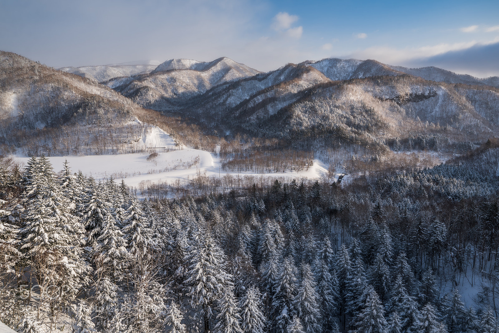 Sony a7R III sample photo. Winter path photography